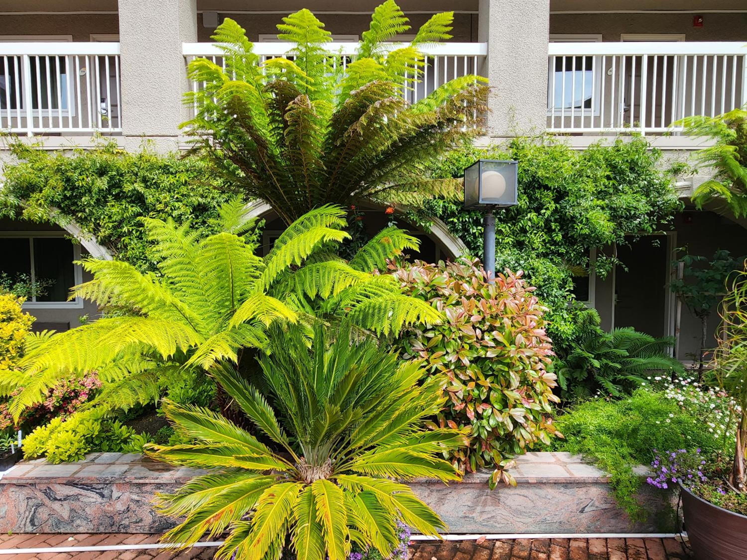 La Quinta by Wyndham San Francisco Airport West - Property Image 39