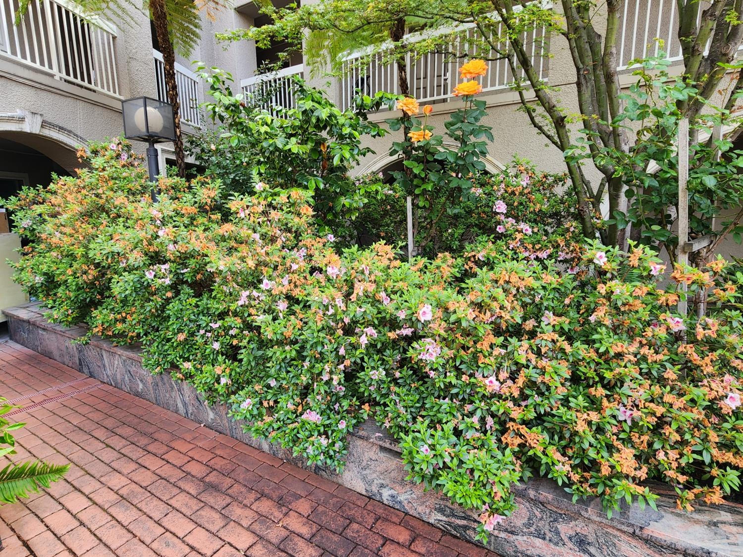 La Quinta by Wyndham San Francisco Airport West - Property Image 25