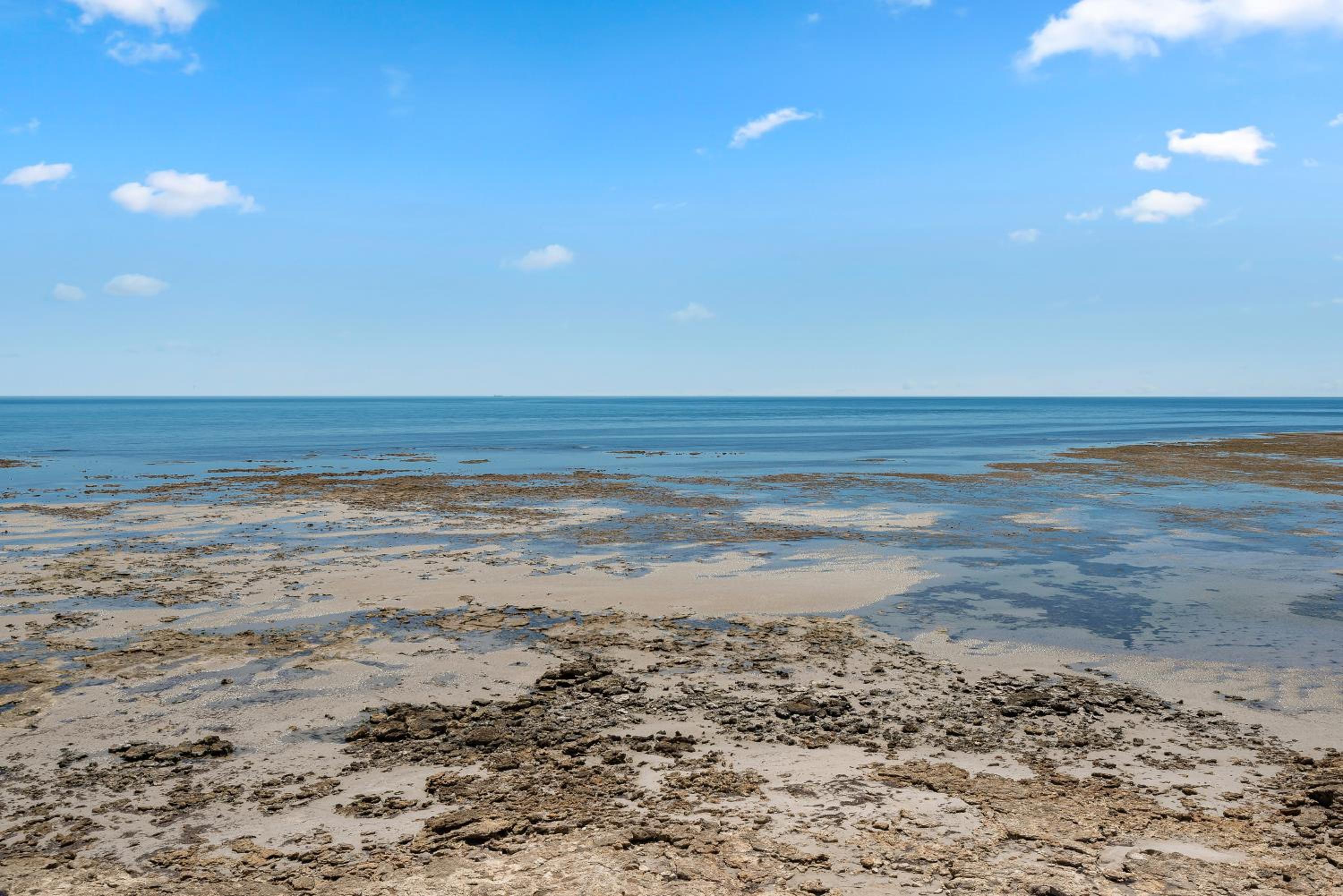 Coral Haven - Aldinga Beach - C21 SouthCoast Holidays