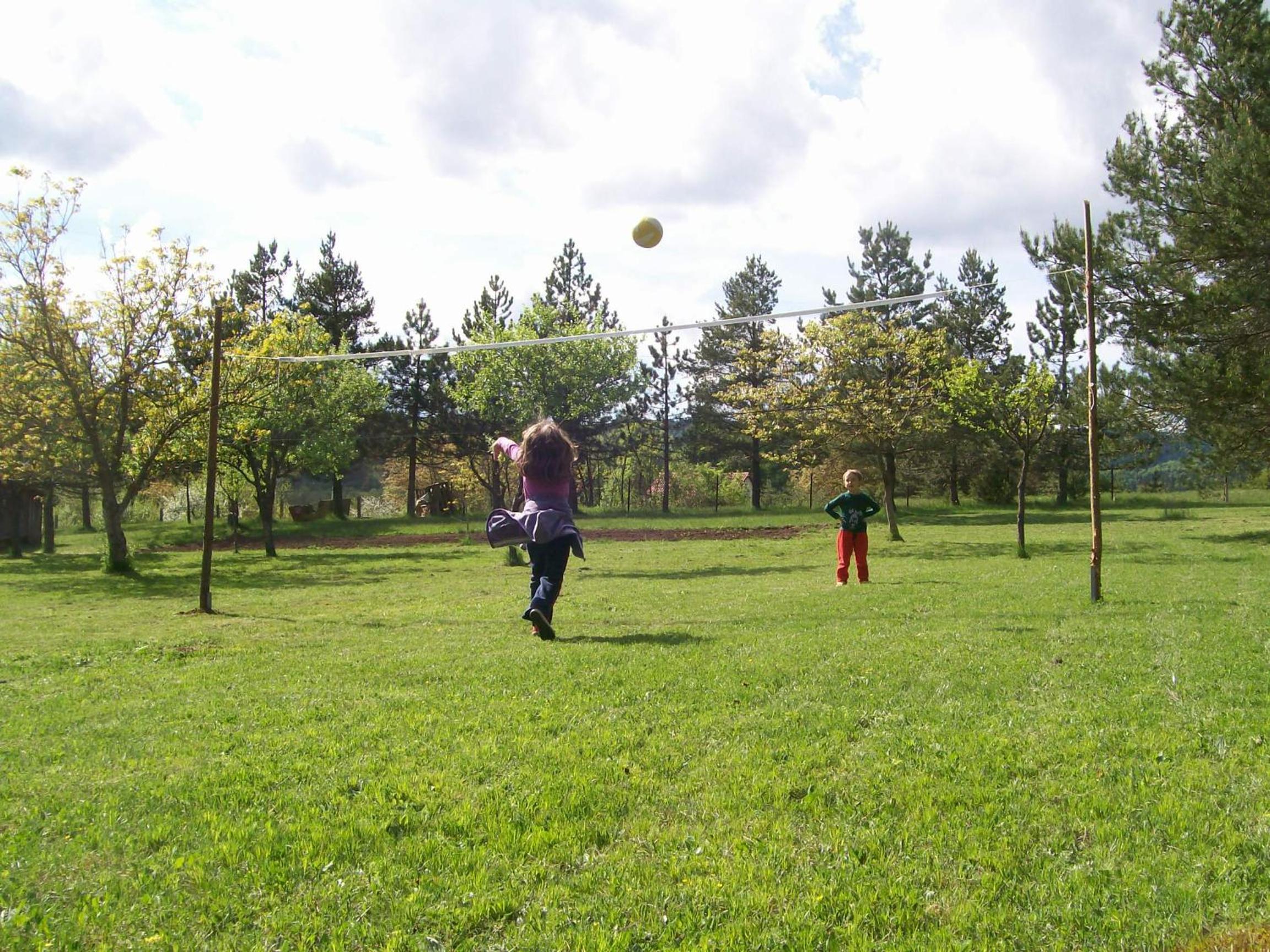 Photo 46