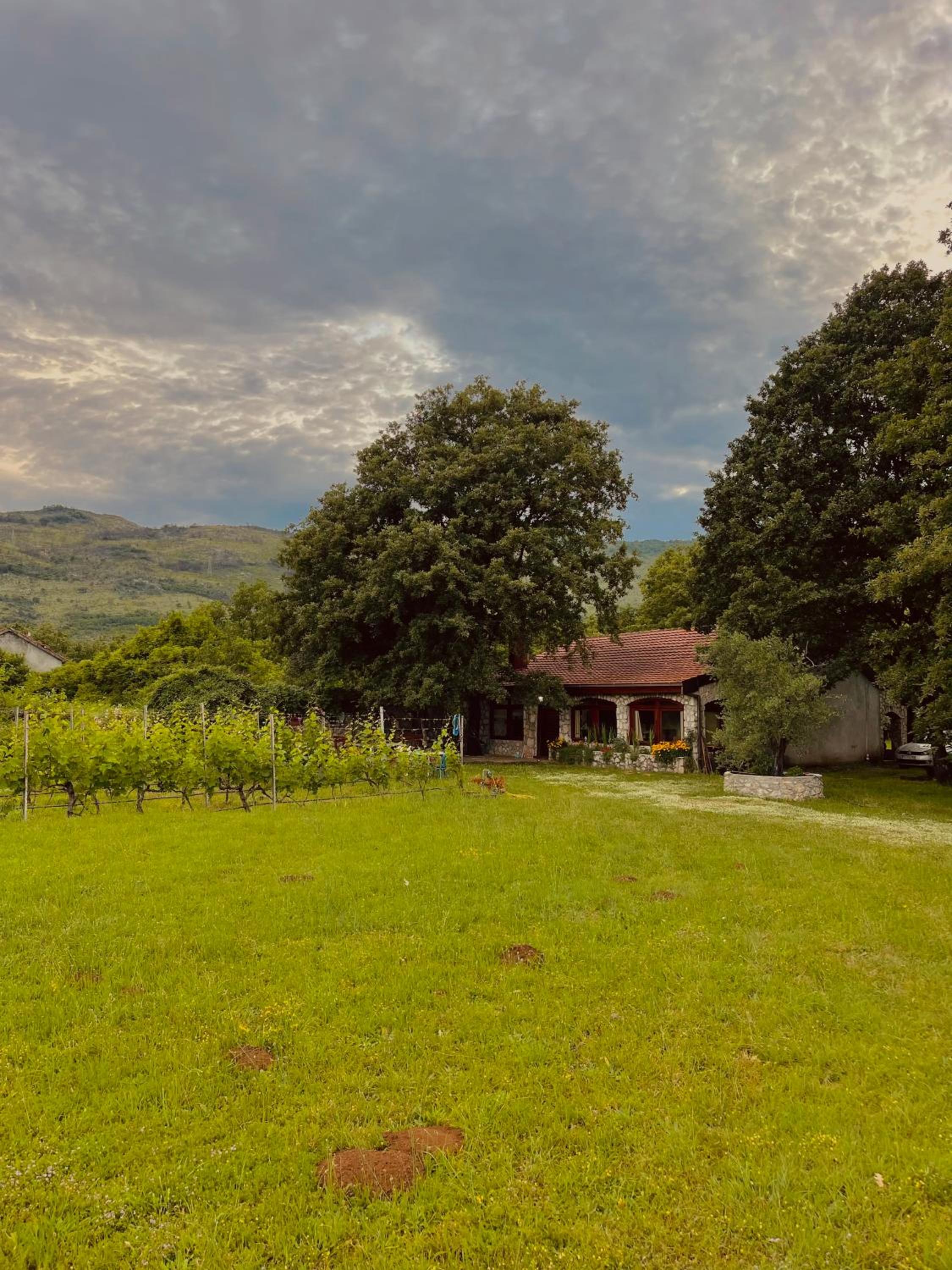 Village house Velimirović view 2