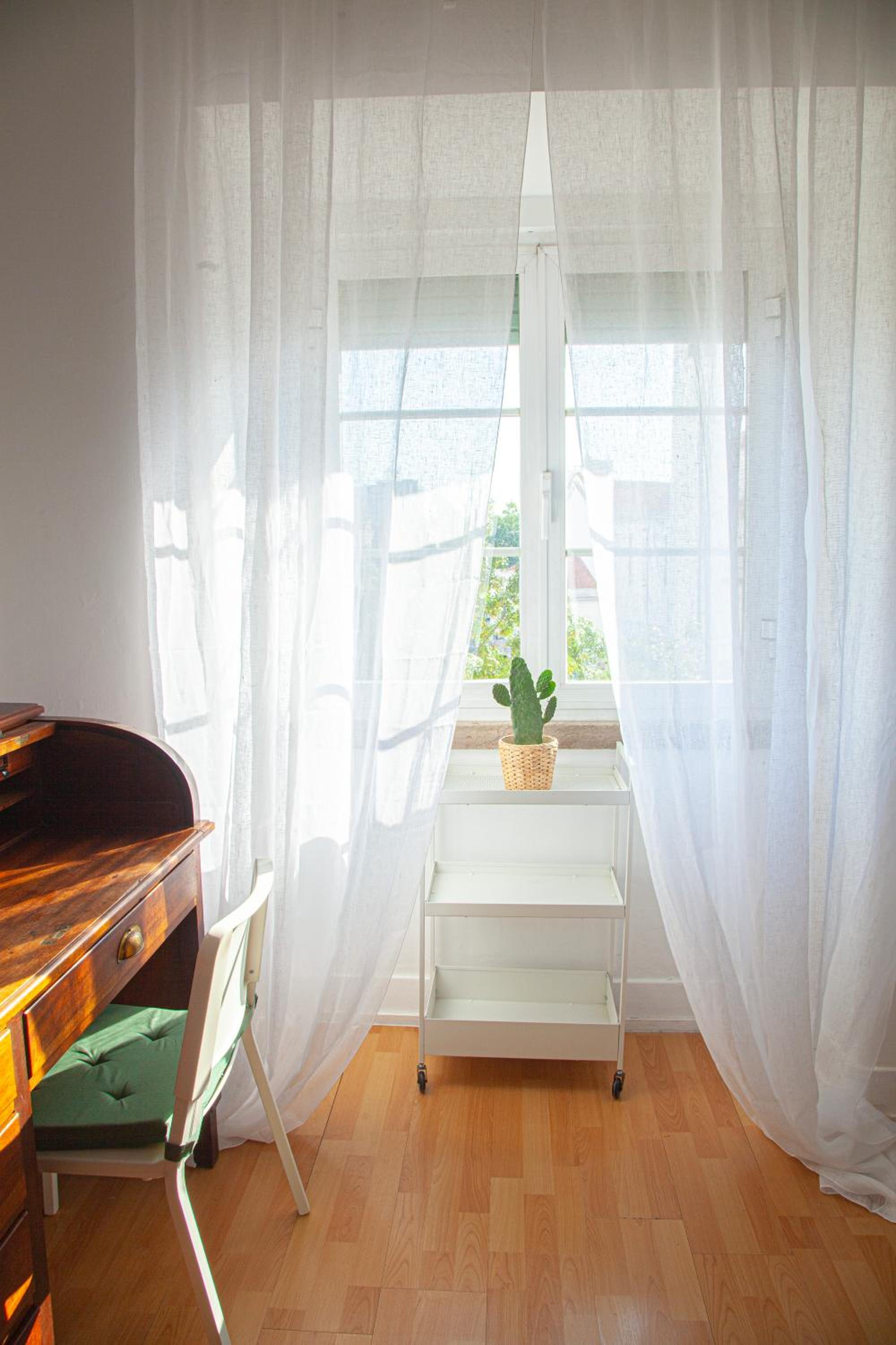 Olá Lisboa ! Central apartment lightning quiet view garden 10mn airport view 2
