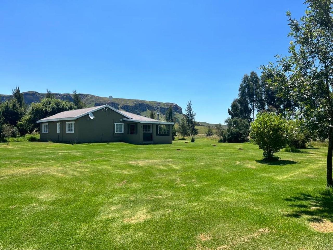 Photo 47