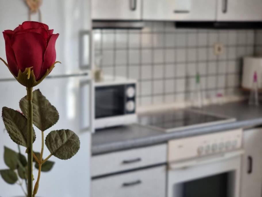 Heraklion flat , near the aiport view 2