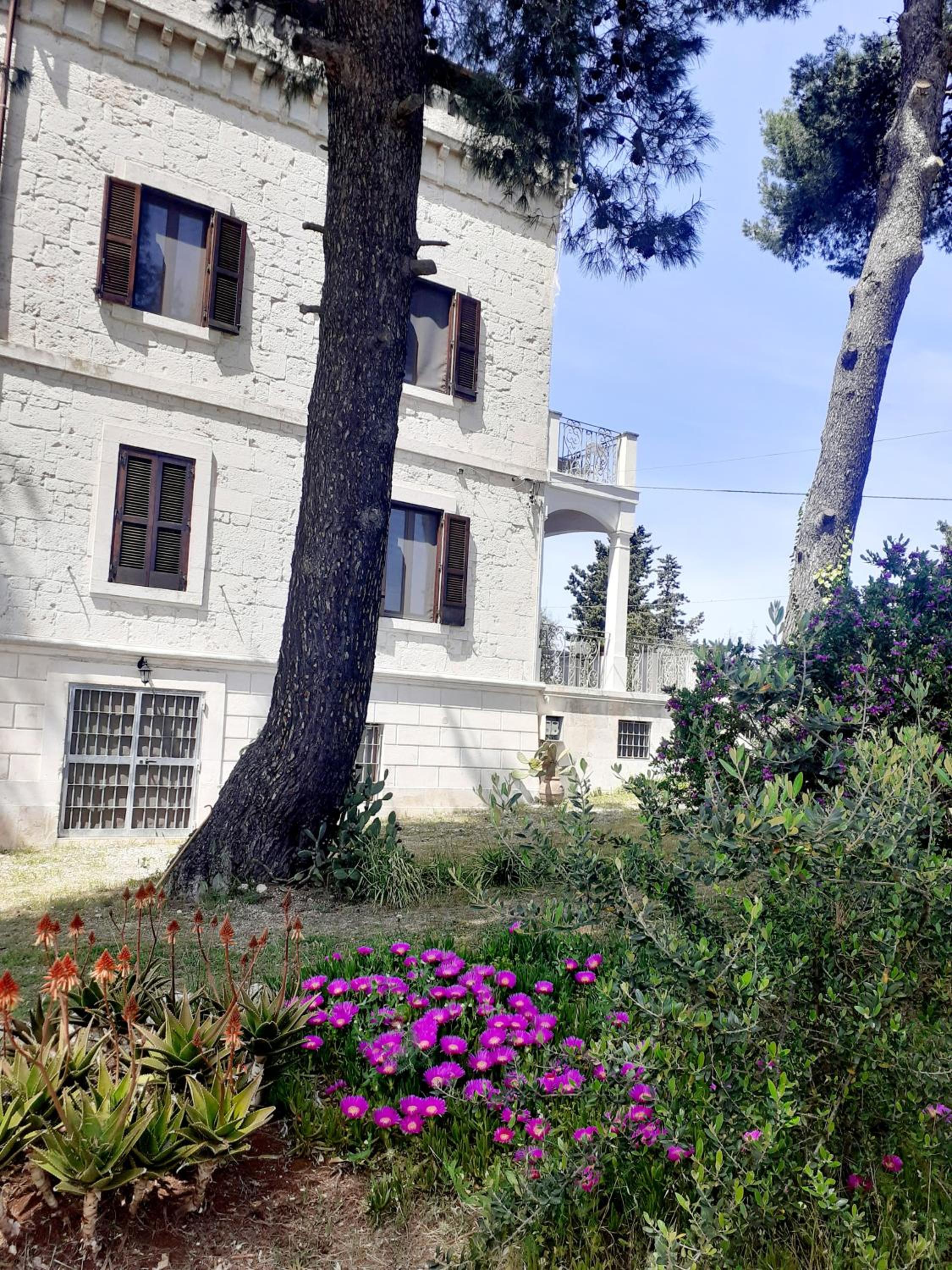 Torre Marinella