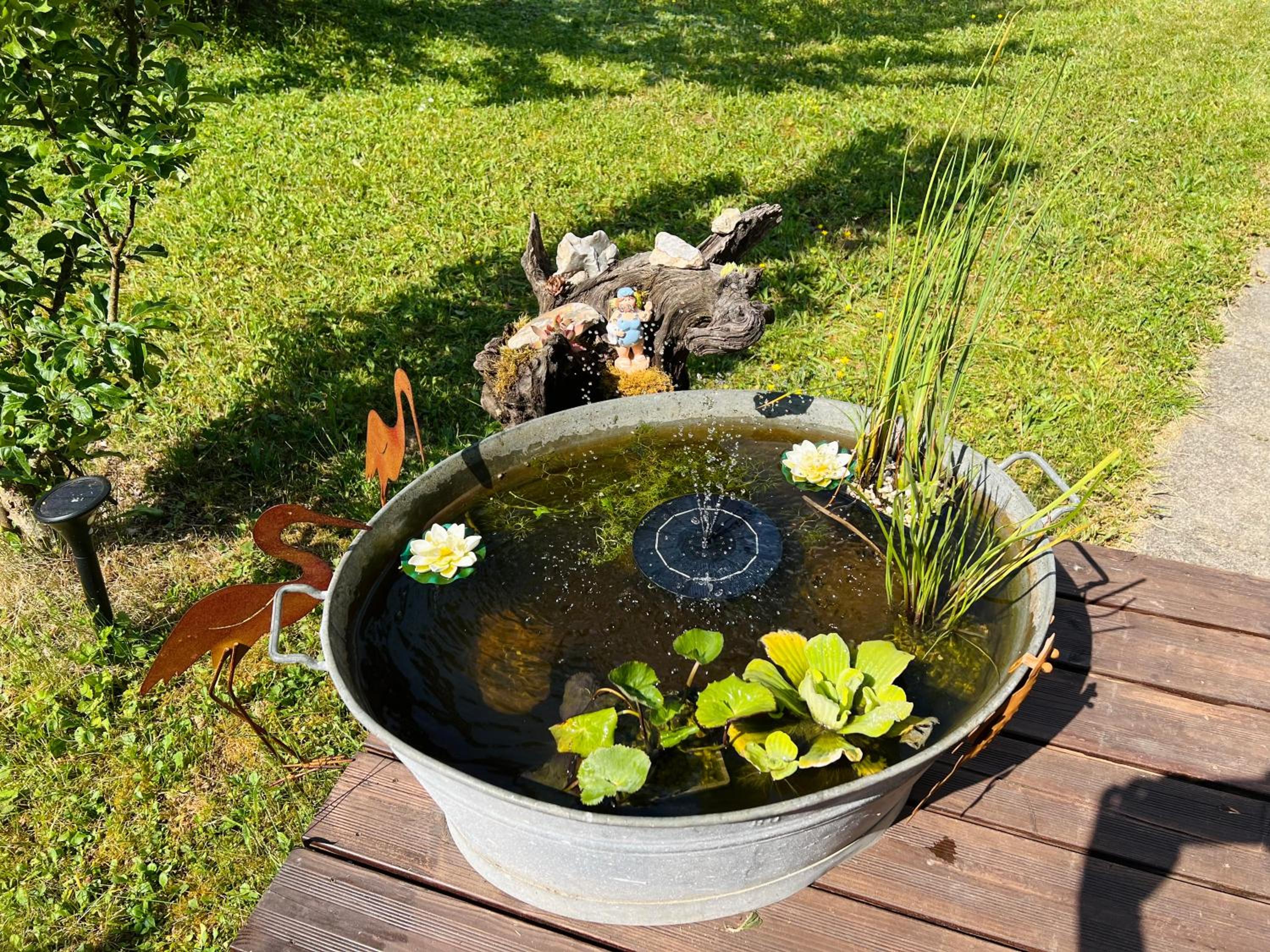 Photo 11