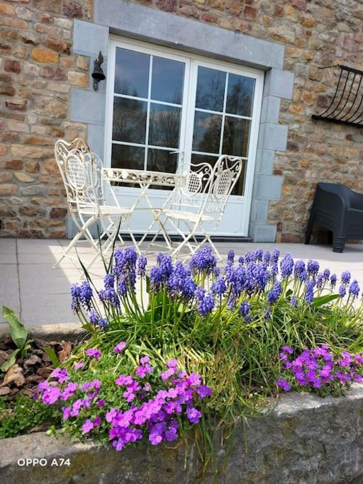 Gîte de la Dame au Lit Gîte à la ferme Chimay