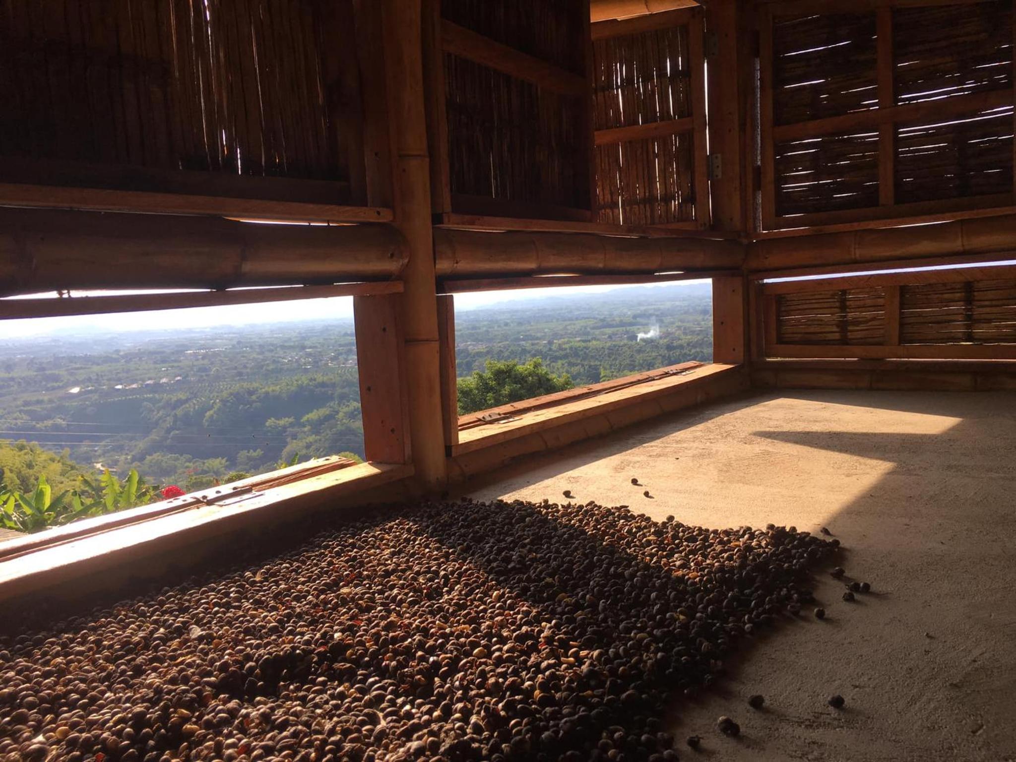 Casa Típica de la Región del Café