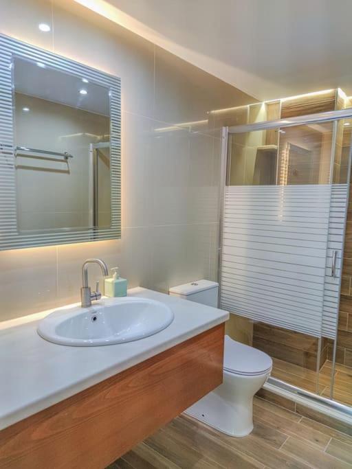Renovated apartment 2 -Platanias