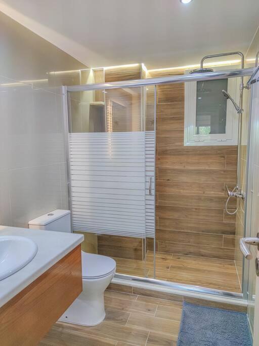 Renovated apartment 2 -Platanias