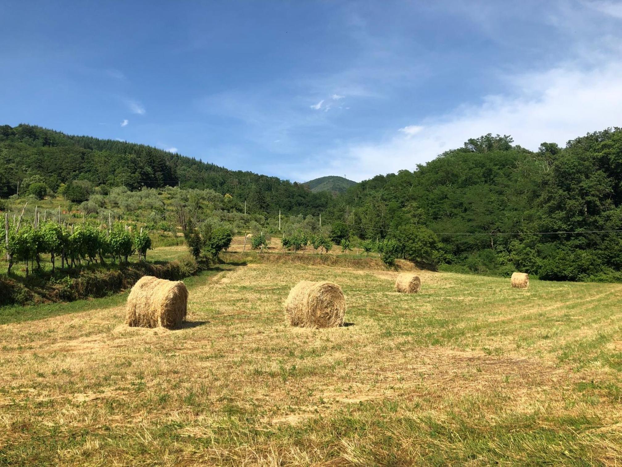 Lunigiana Experience