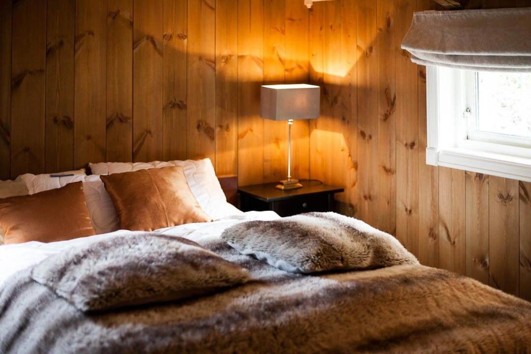 Luxury cabin in the mountains with all facileties view 2