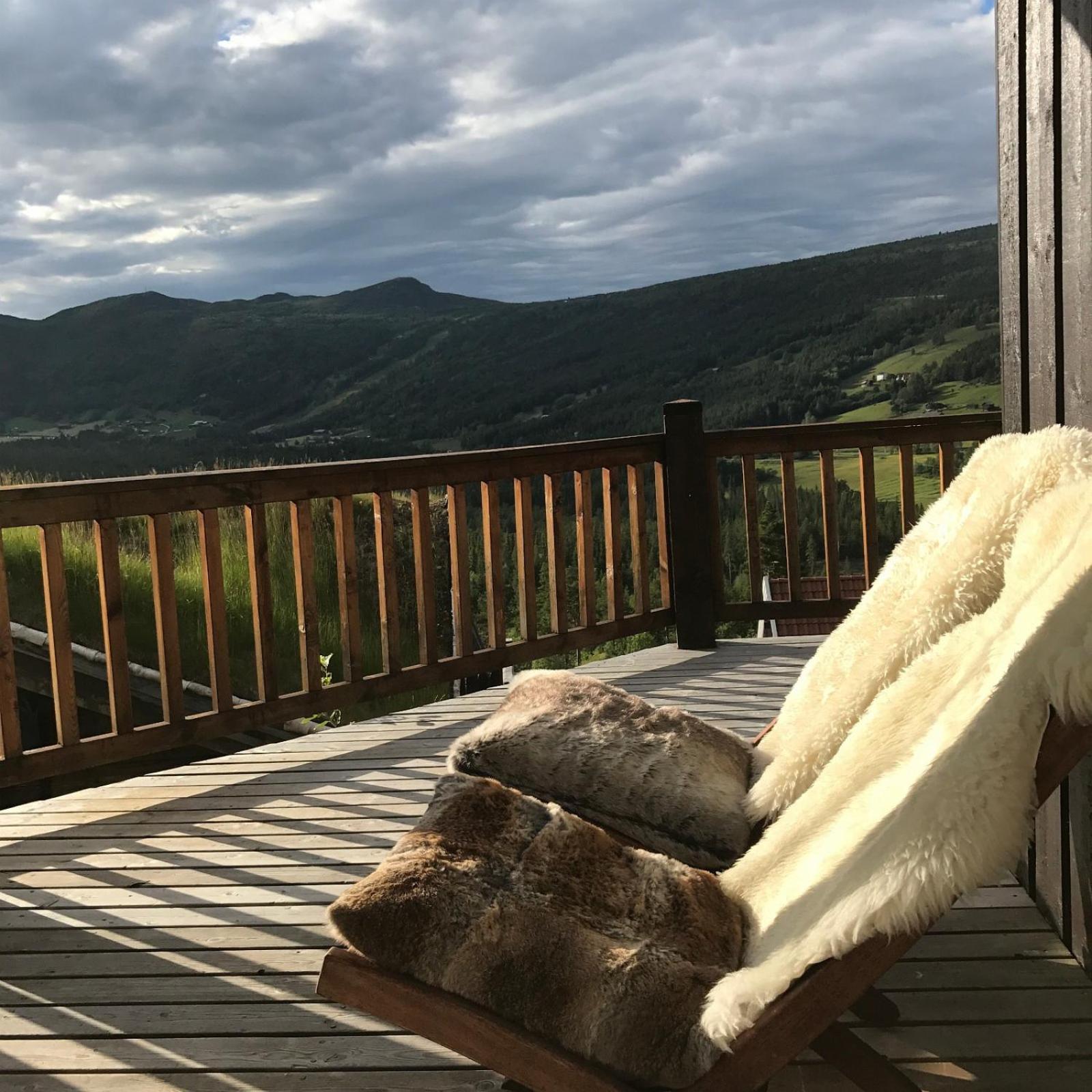 Luxury cabin in the mountains with all facileties view 4