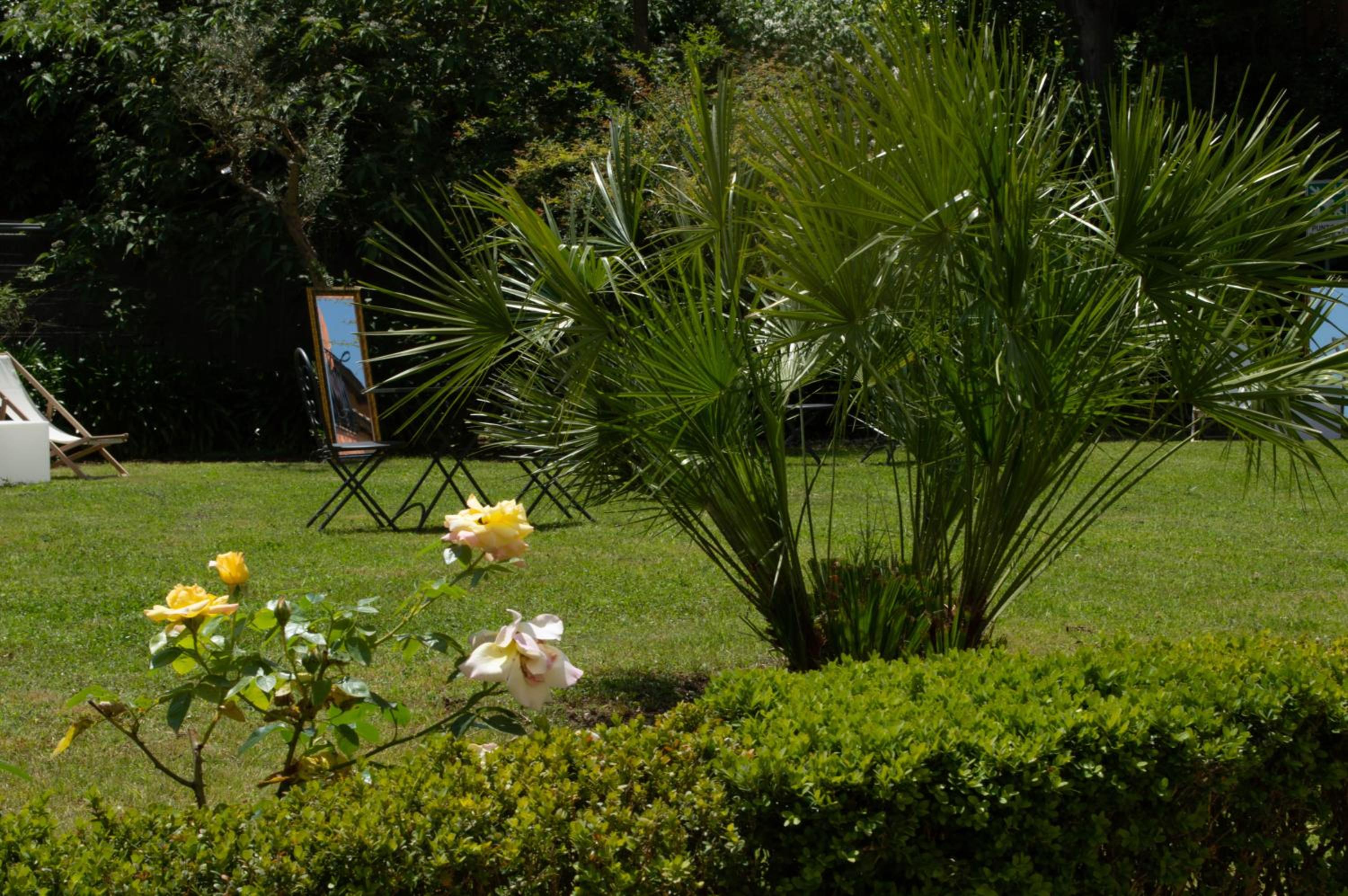 Villa Riari Garden