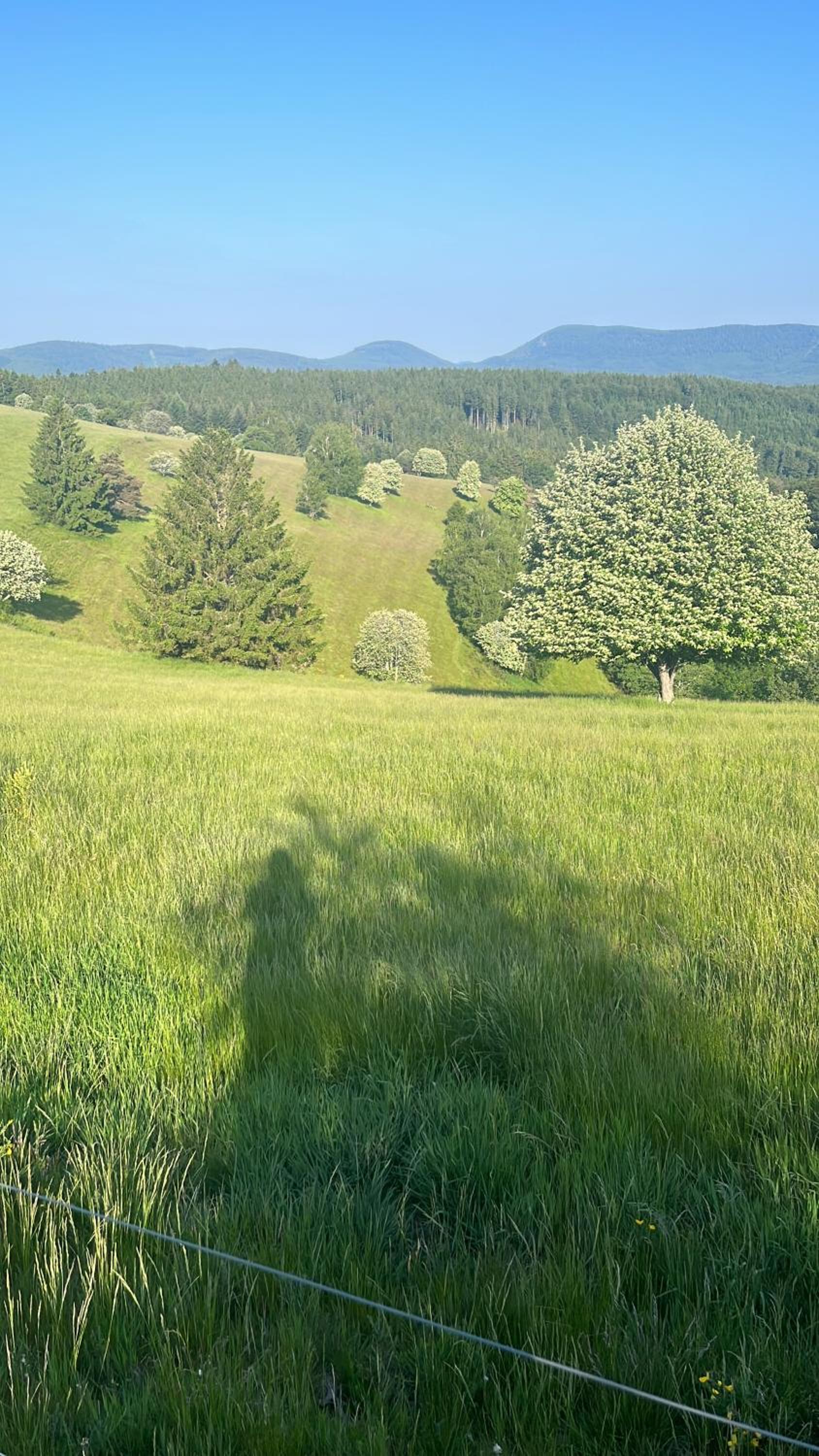 Gîte de montagne -Bellefosse Alsace view 3