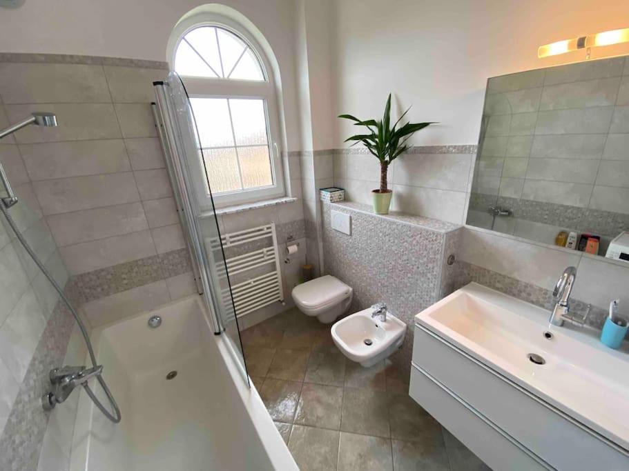 Apartment Laurus