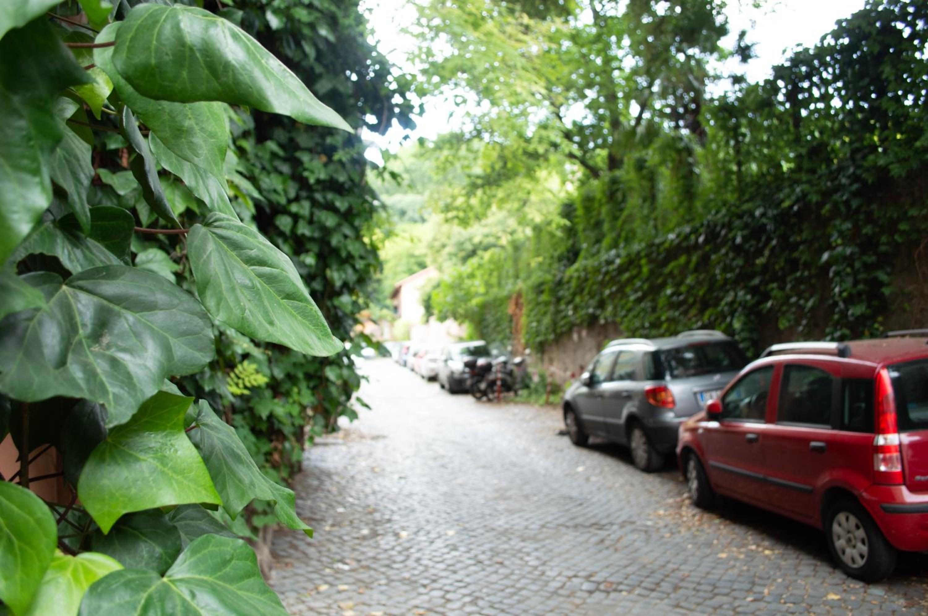 Villa Riari Garden