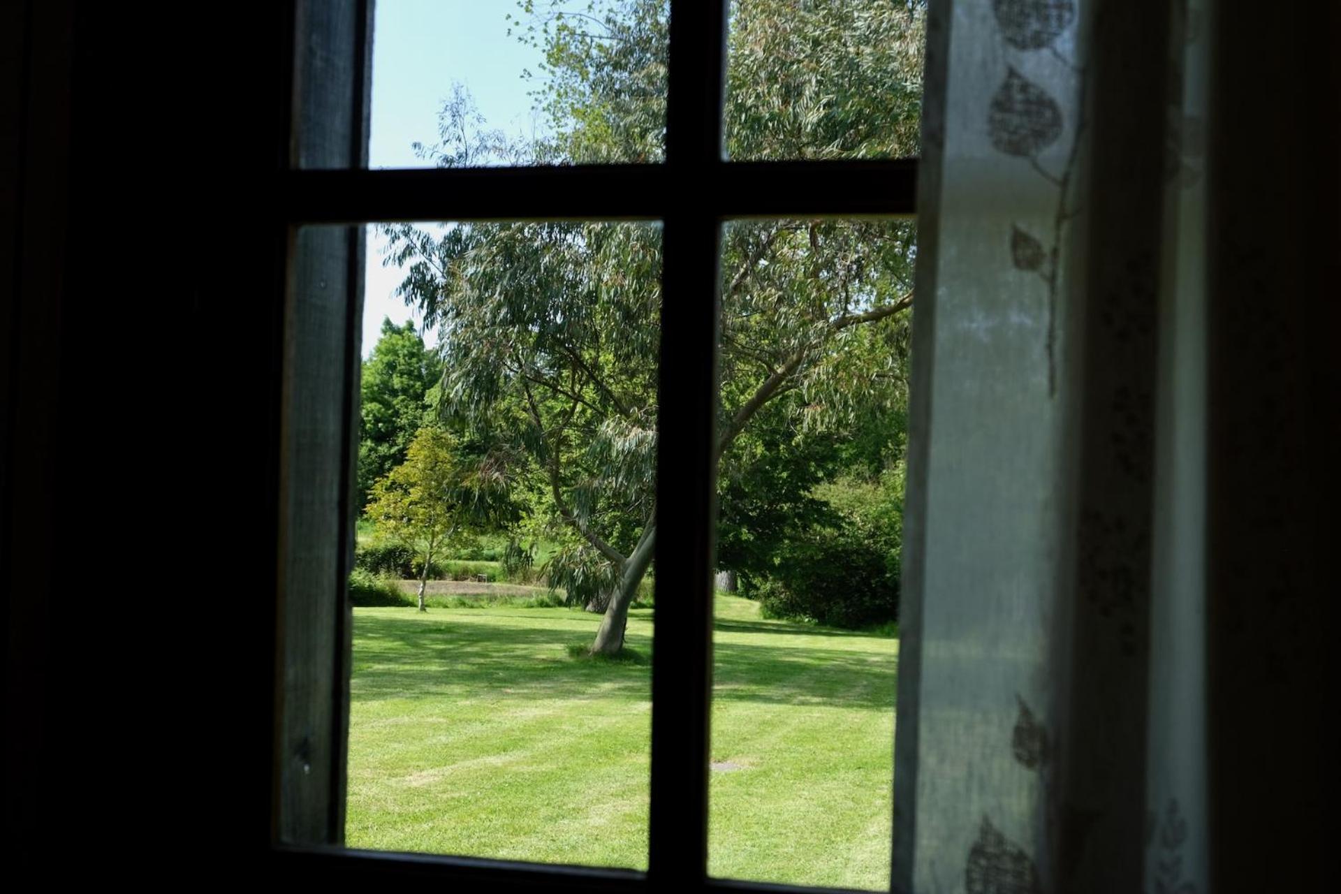 Photo 51