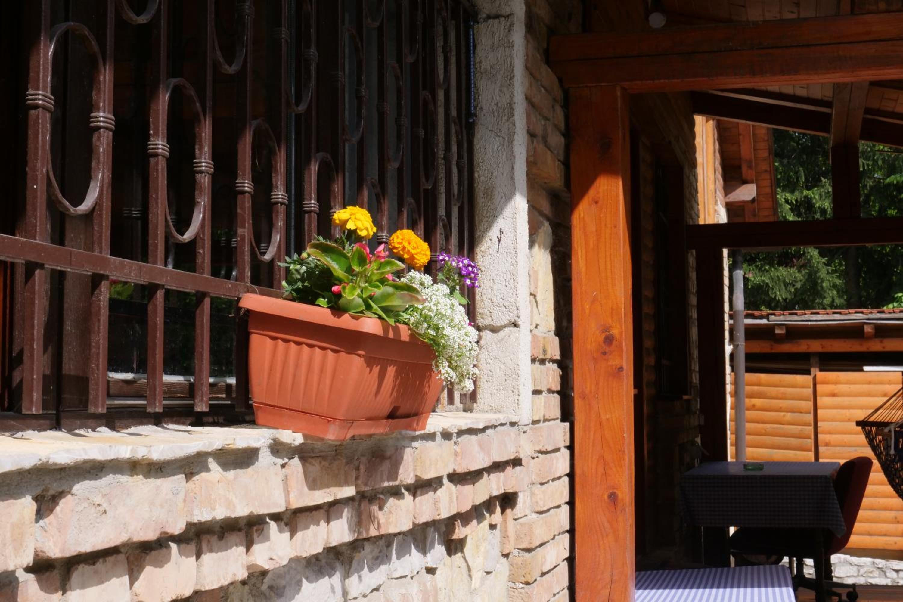 Villa Hota Sarajevo