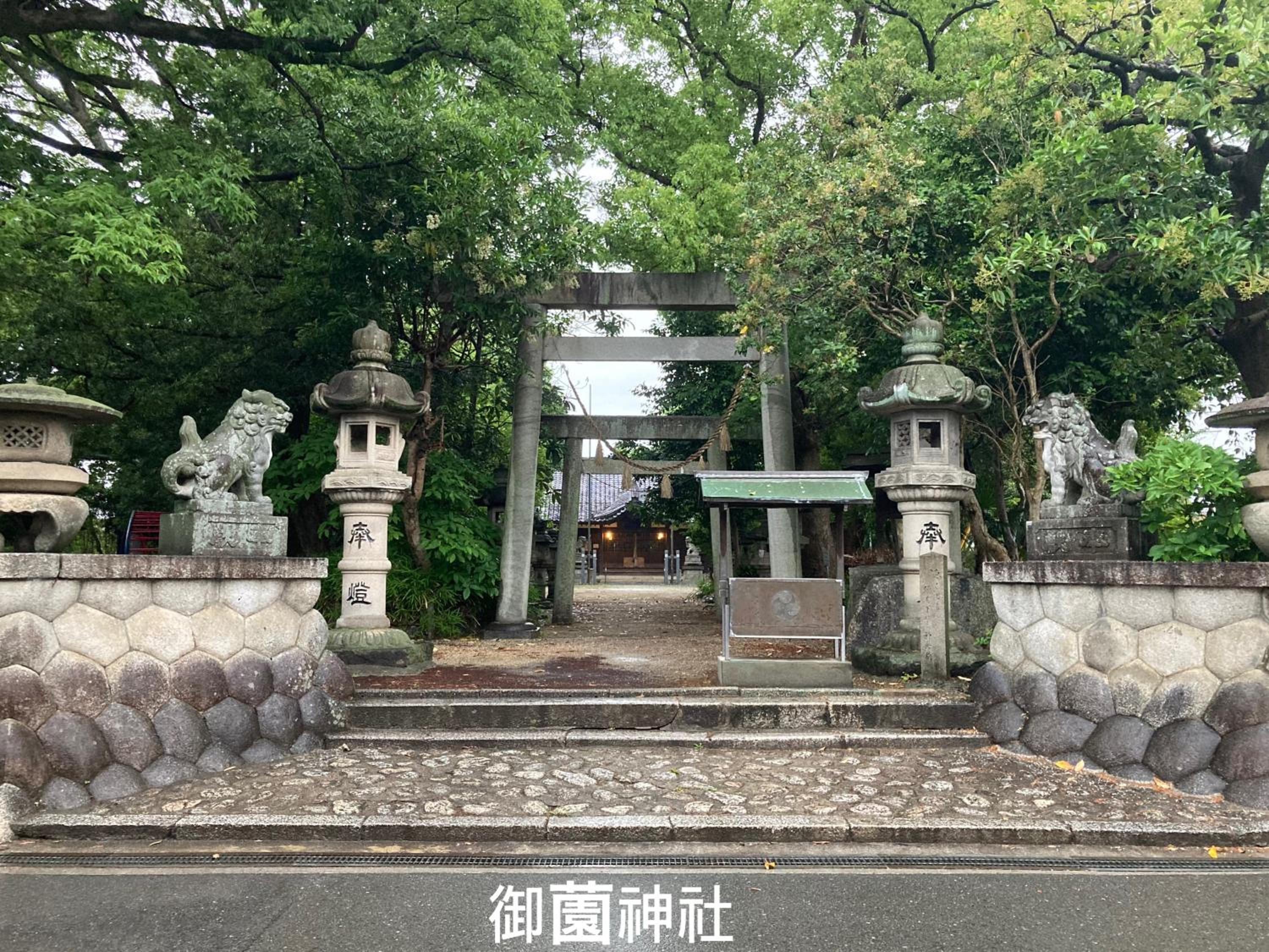 Photo 21
