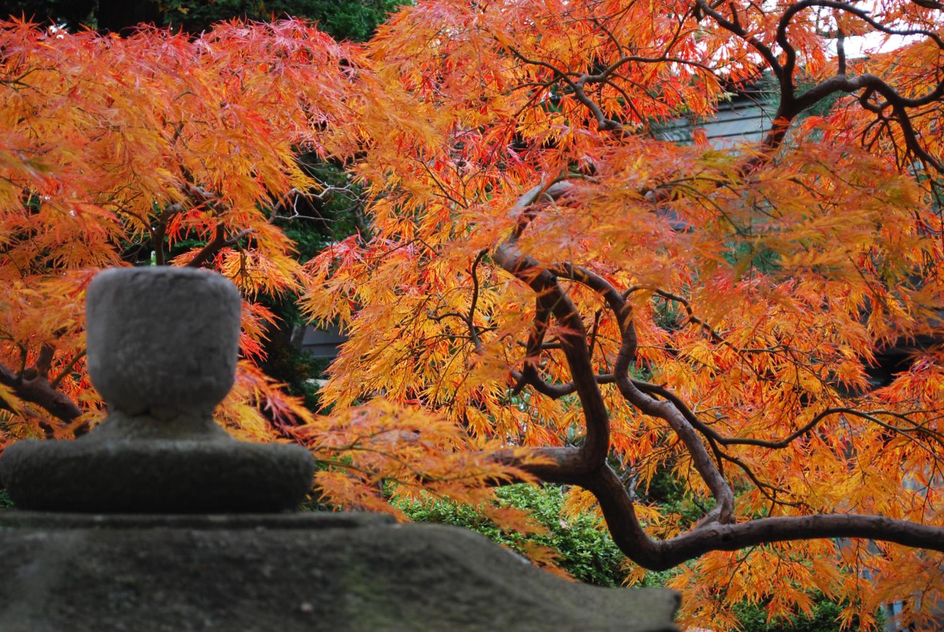 Nishiki-no-Yu Jimotoya