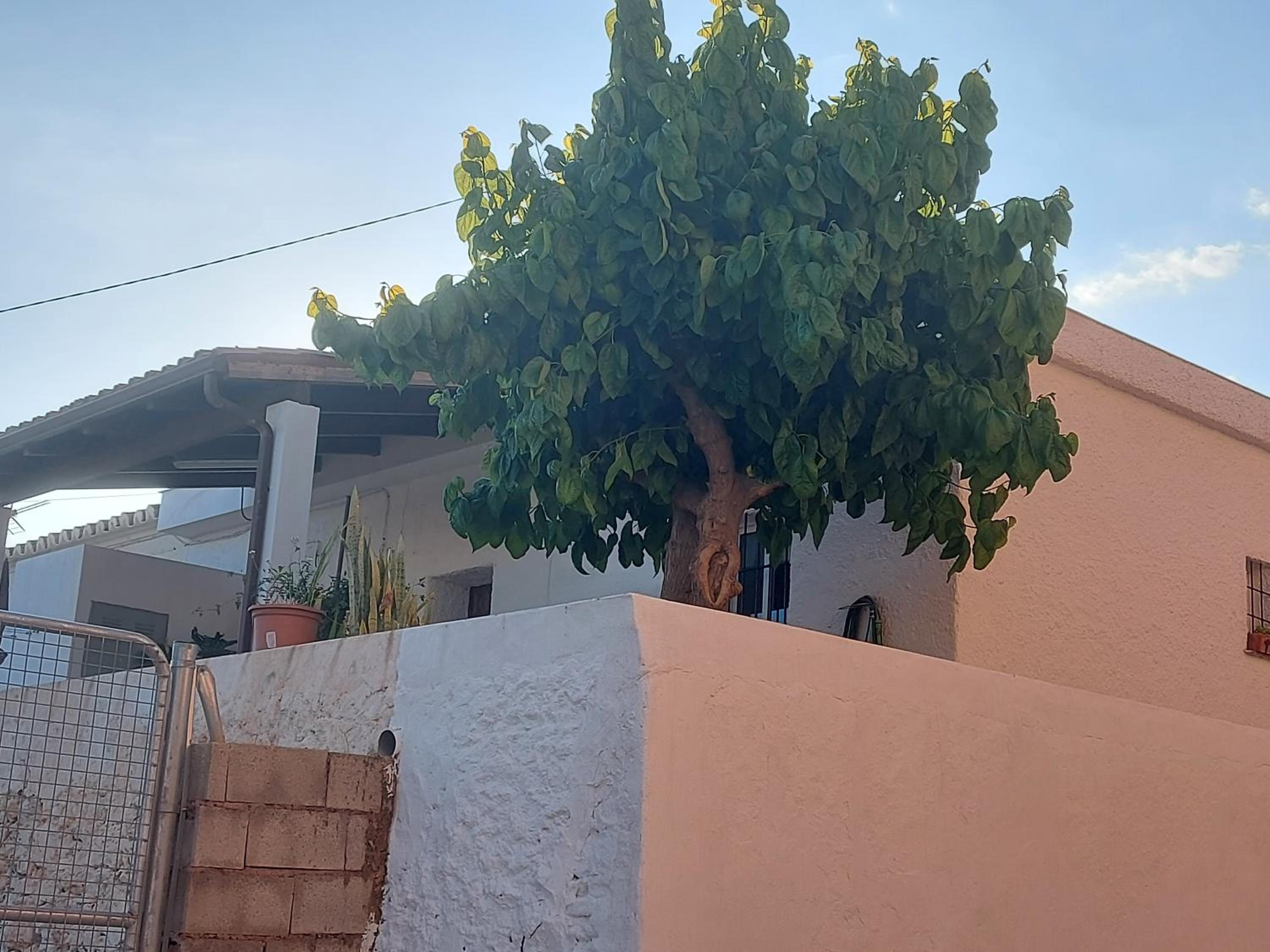 Casa La Morera