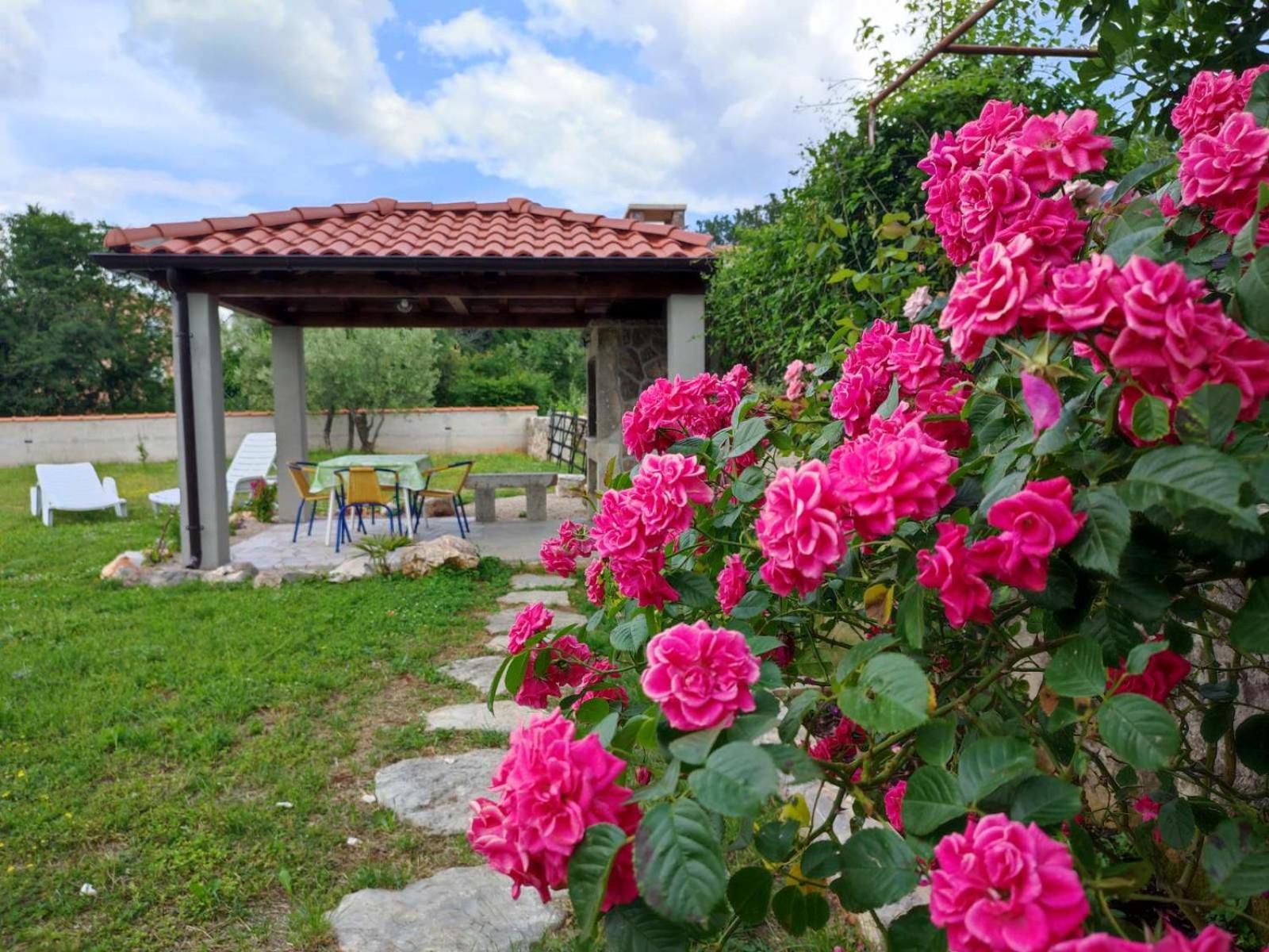 Kuća DuMar view 3