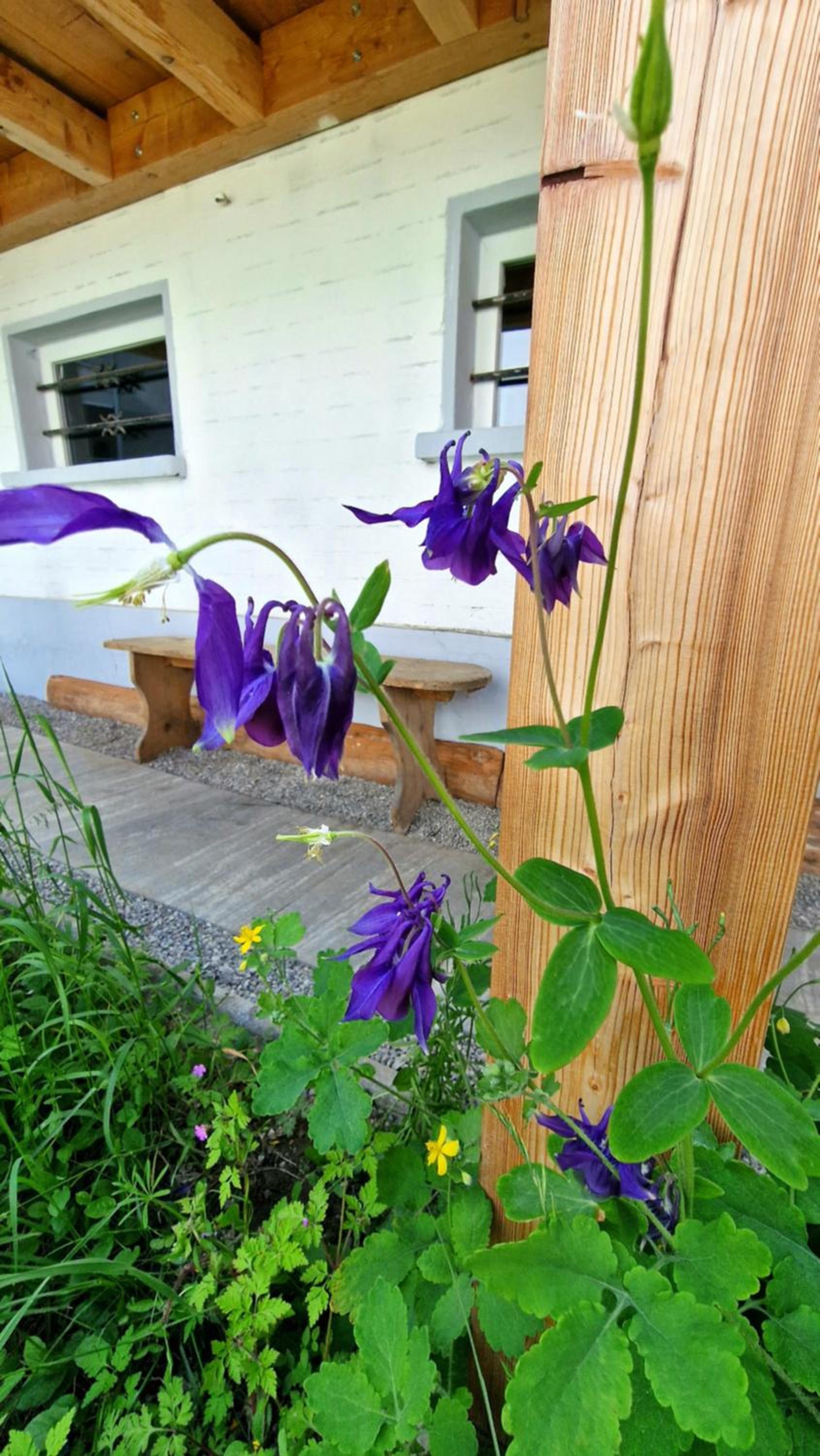 Chalet-Daheim-Fiesch 3,5-Zimmerwohnung