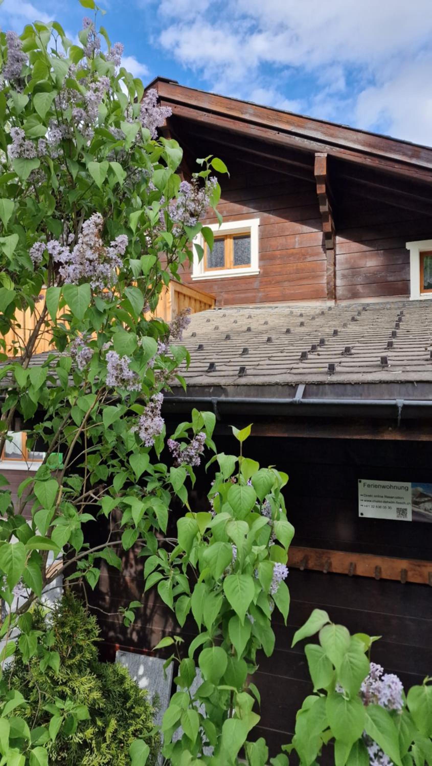 Chalet-Daheim-Fiesch 3,5-Zimmerwohnung