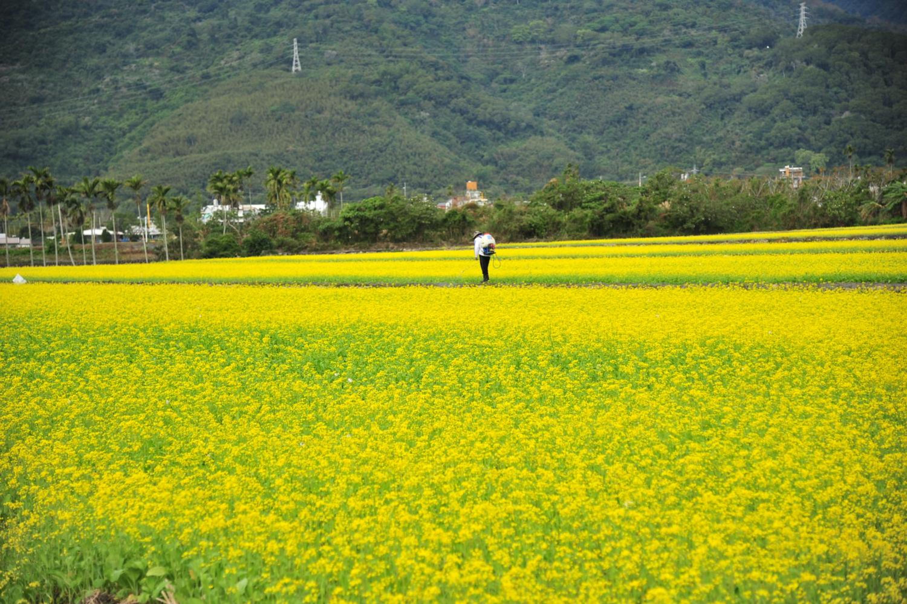 福田民宿 台東民宿476號