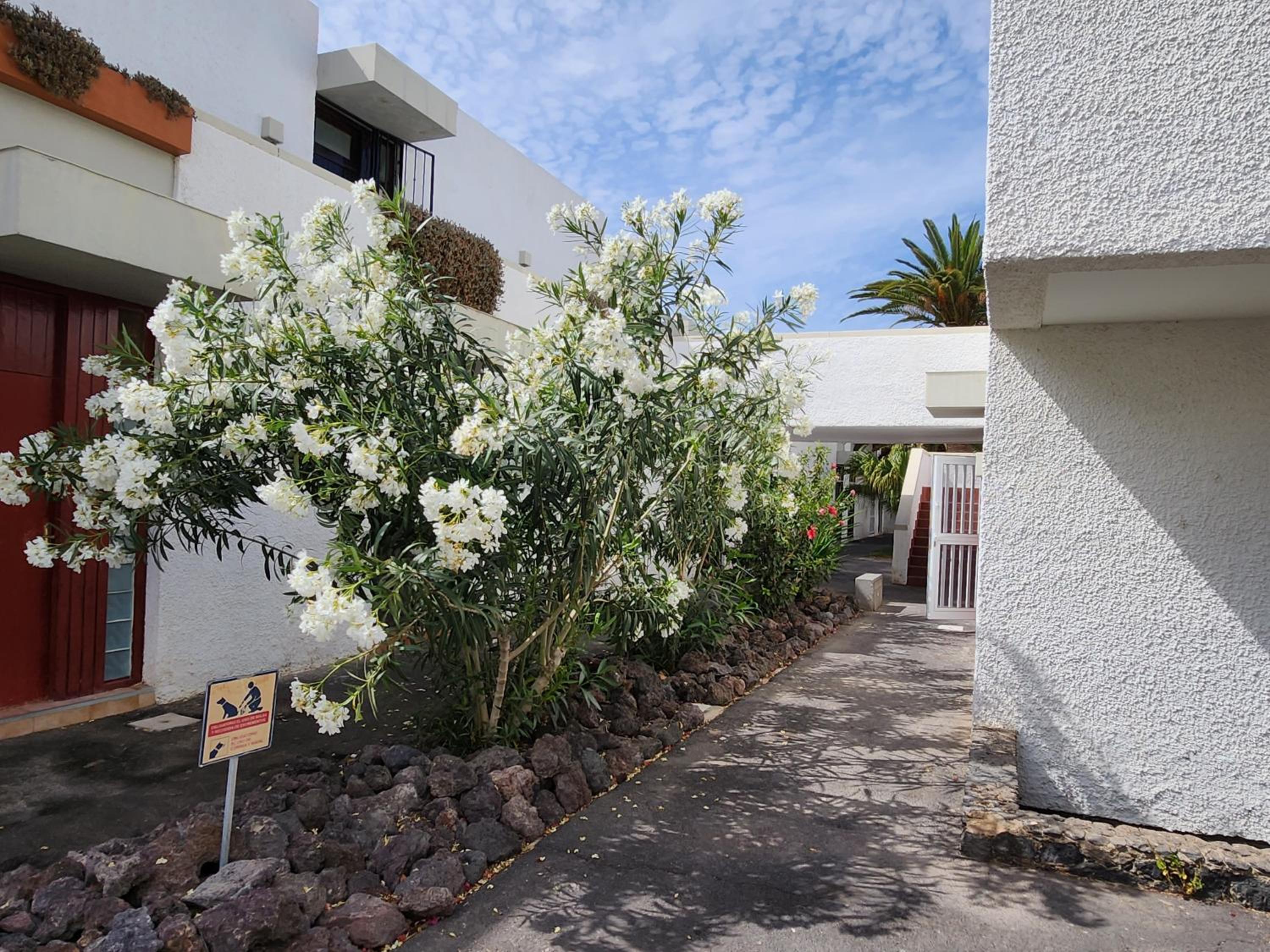 Casa de Mariposas