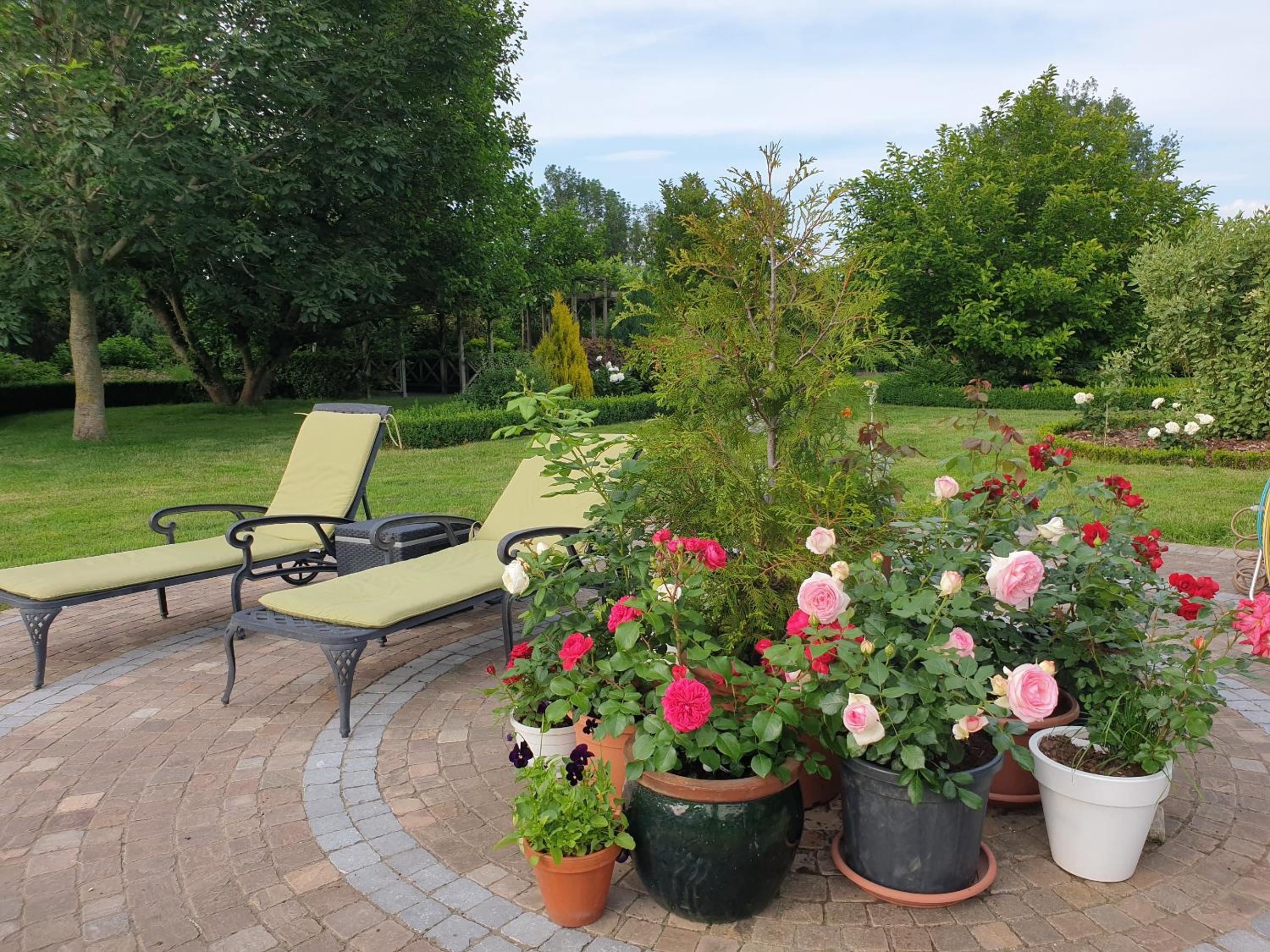 B&B Secret Garden Adults only