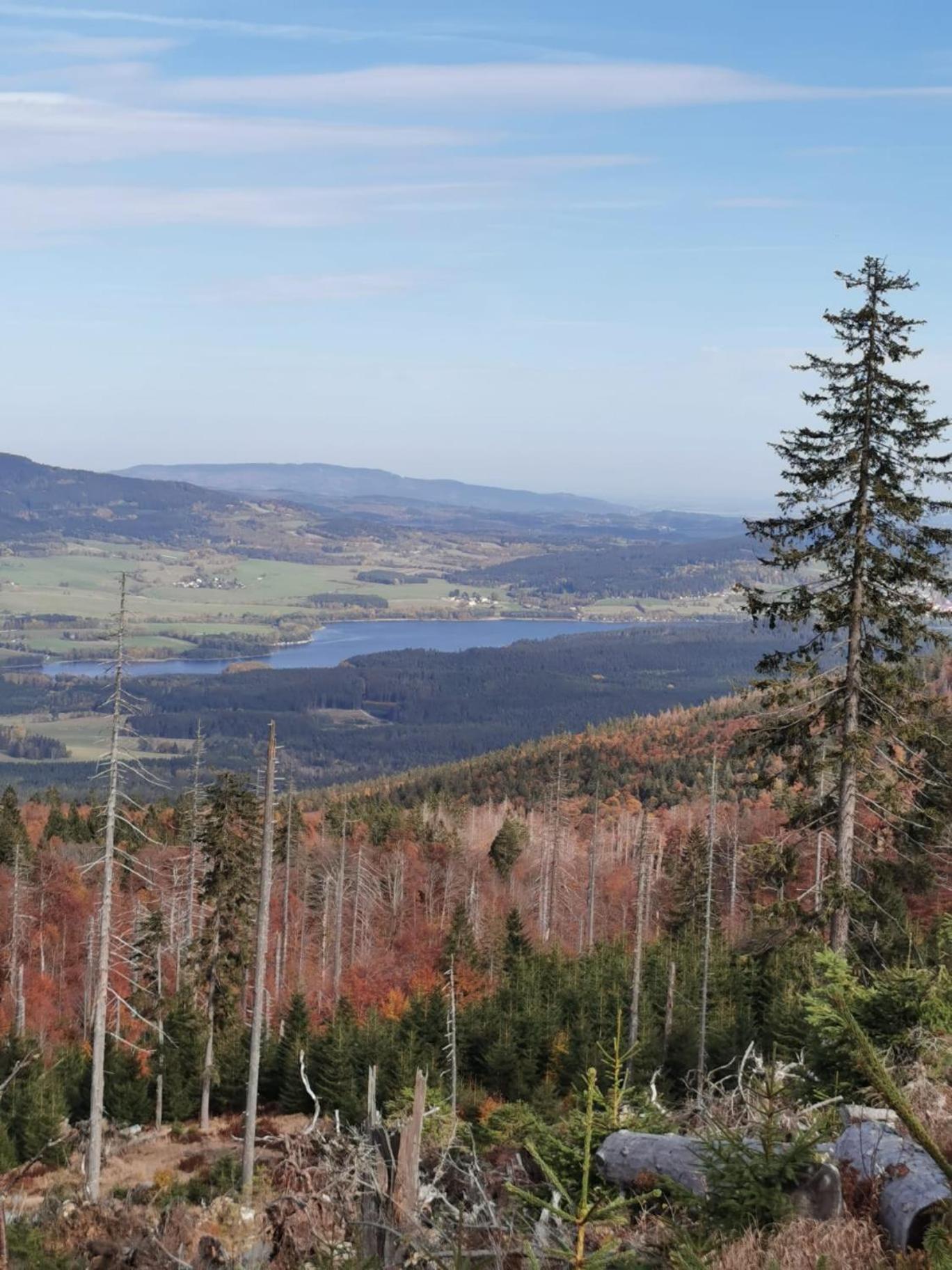 Lipno A1