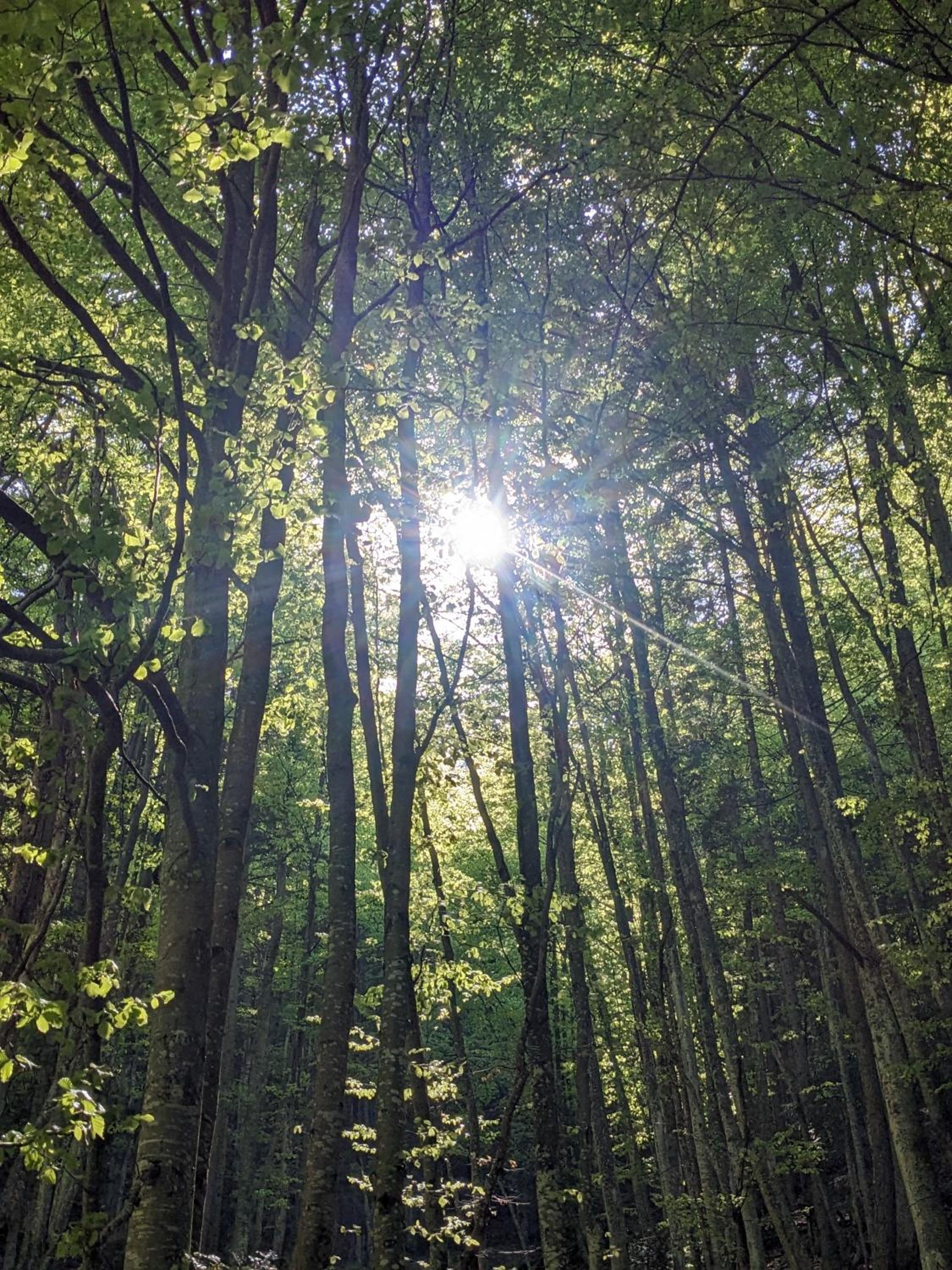 Ferienwohnung in der Natur