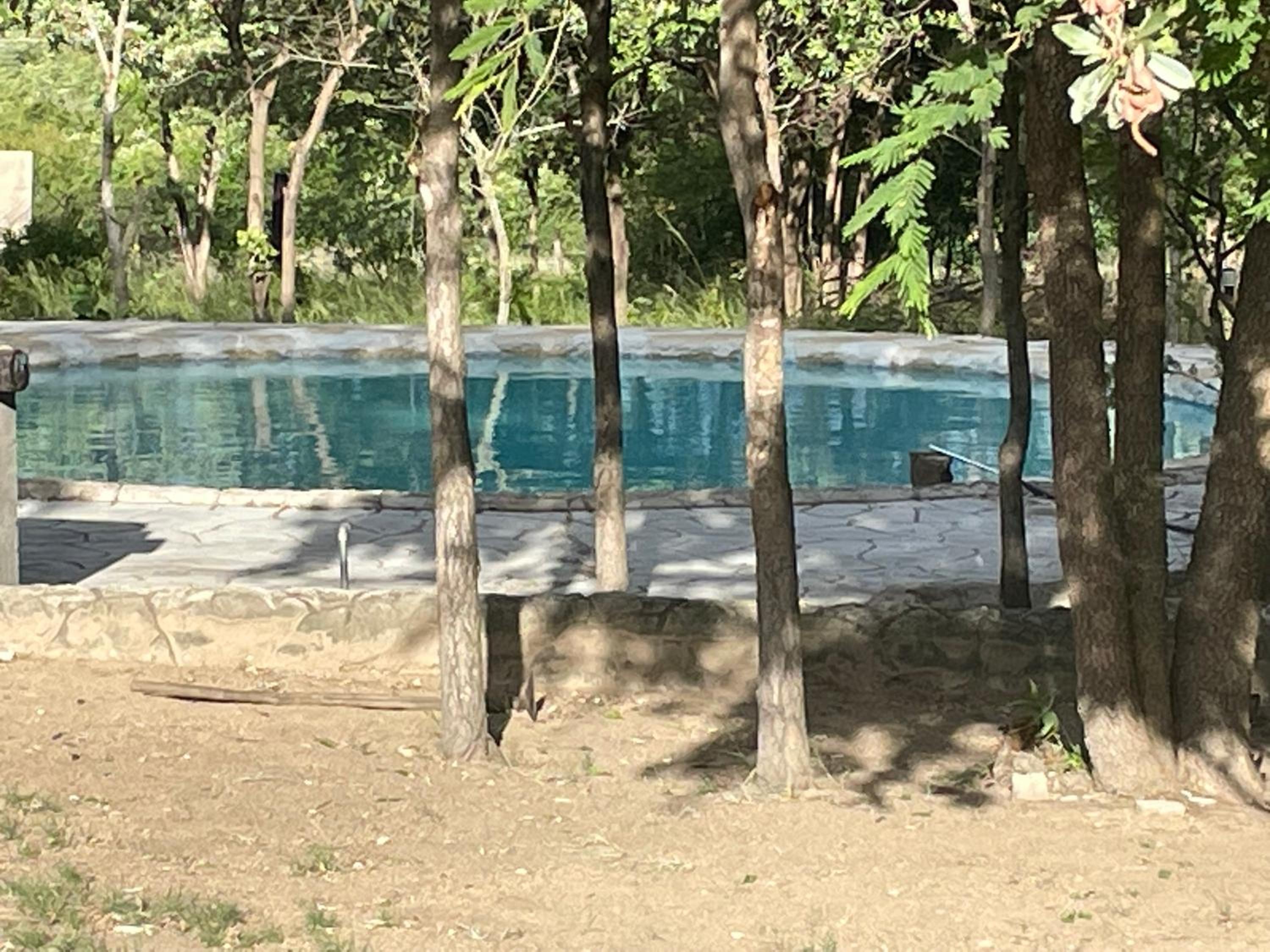 xisakeni Lodge