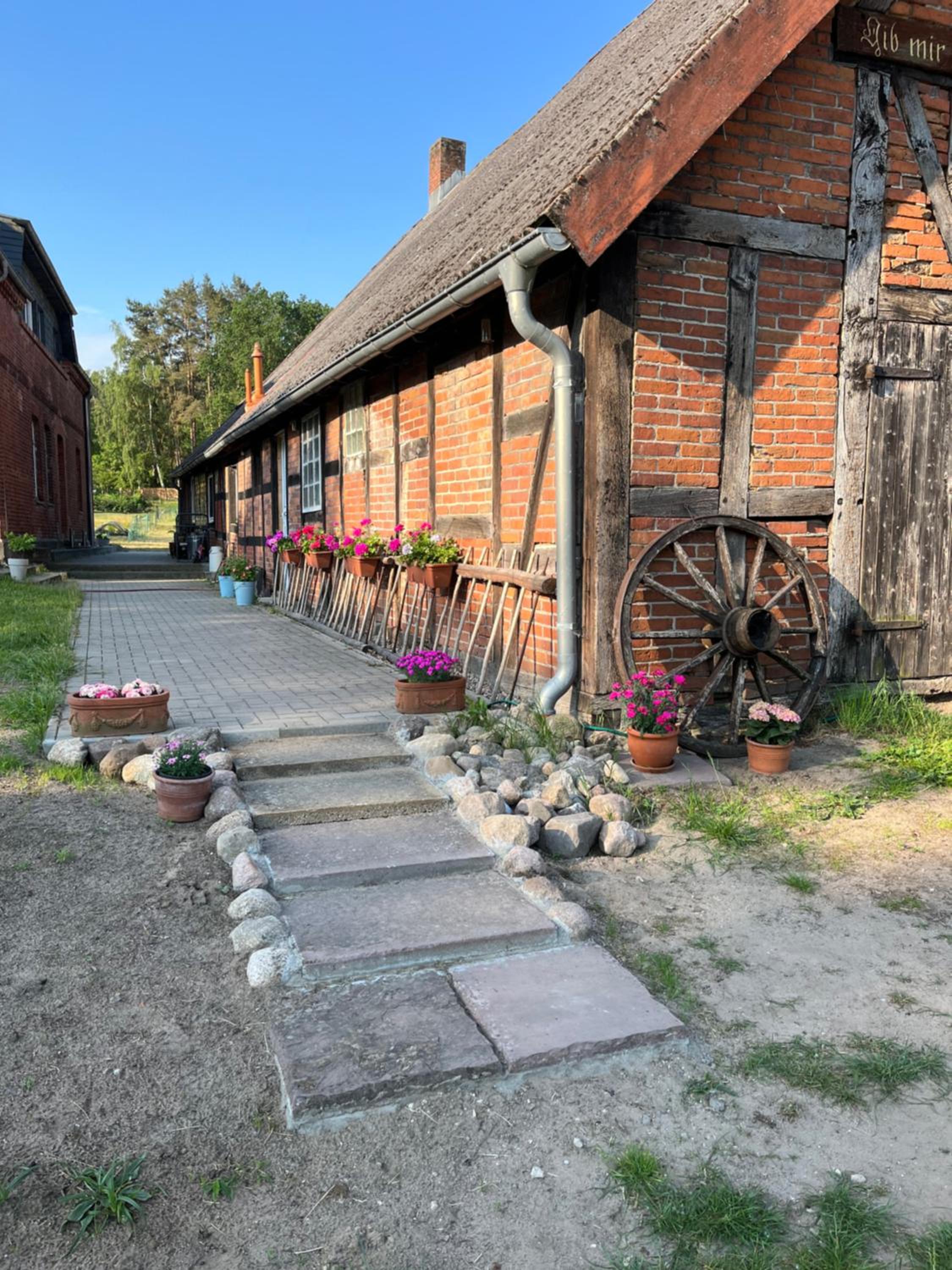 Photo 23