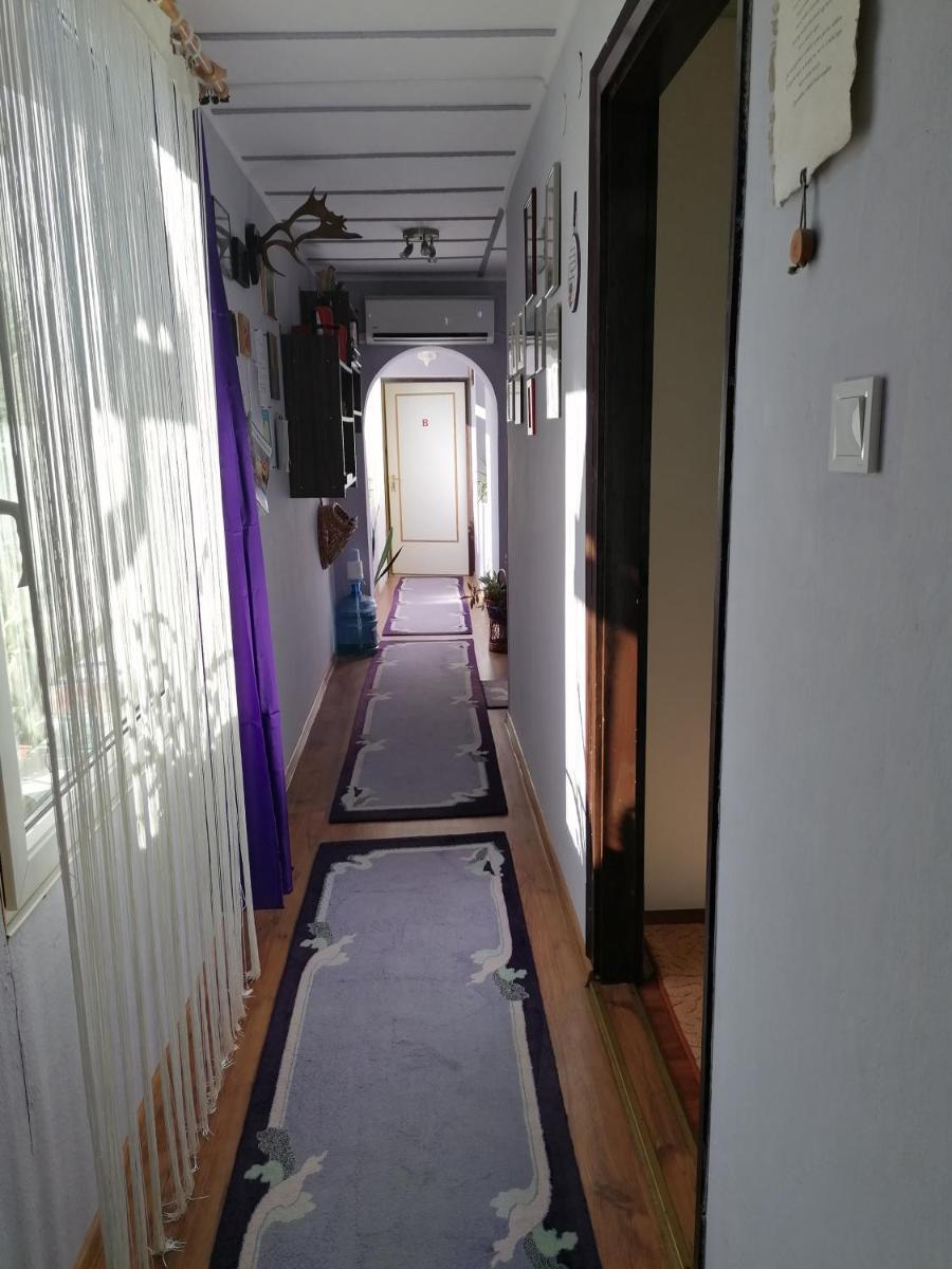 Photo 34