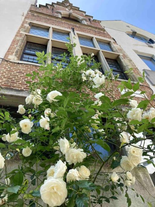 Unieke woning in het historisch stadscentrum