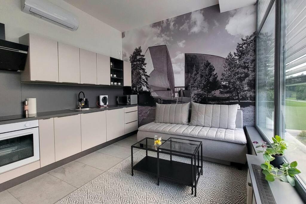 LOFT pri parku, Air conditioned, free private parking view 3