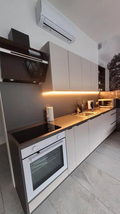 LOFT pri parku, Air conditioned, free private parking view 2