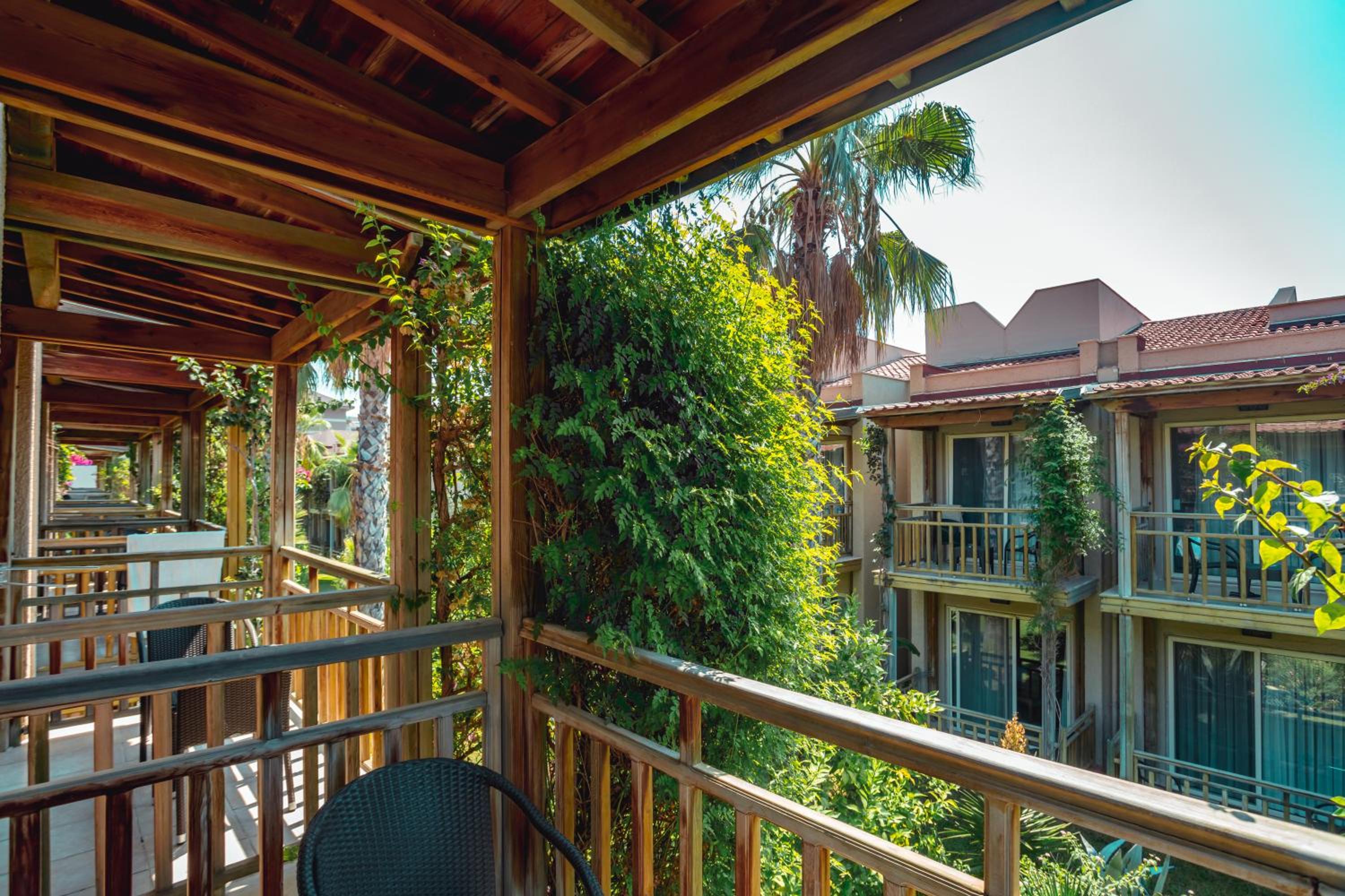 Paloma Oceana - Image 16