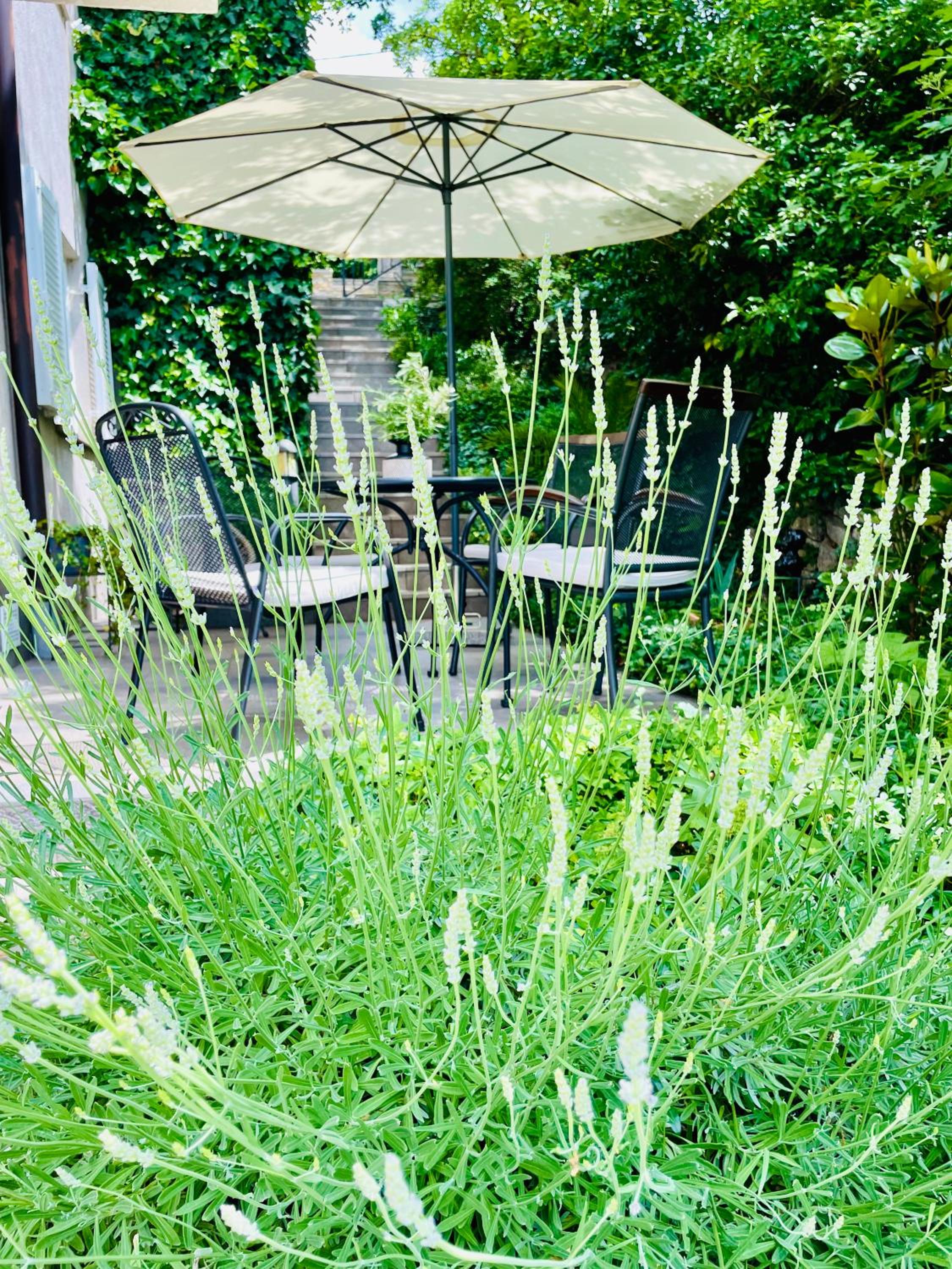 Apartment Blue&Green