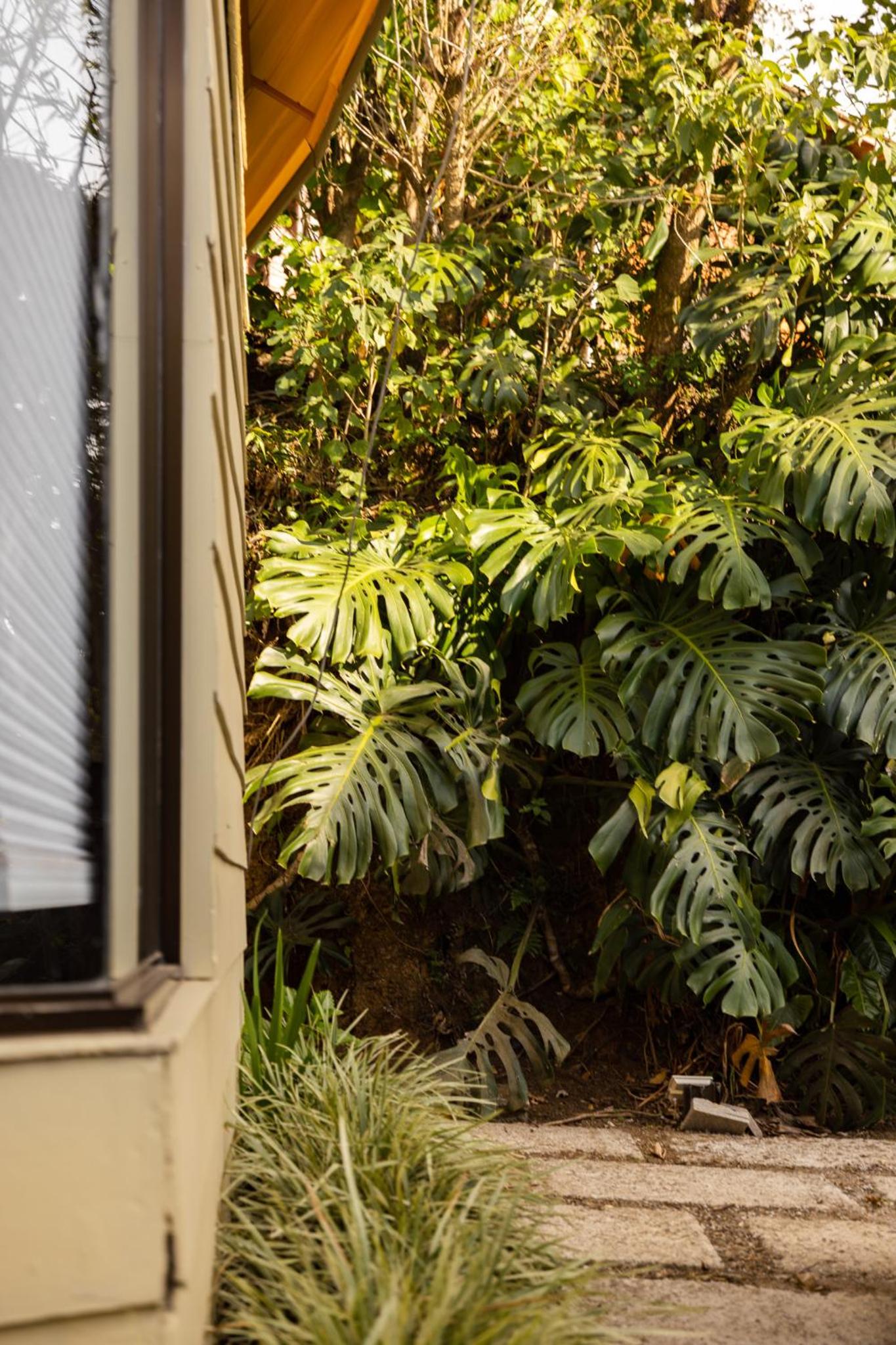 Gamaí Monteverde Tiny House
