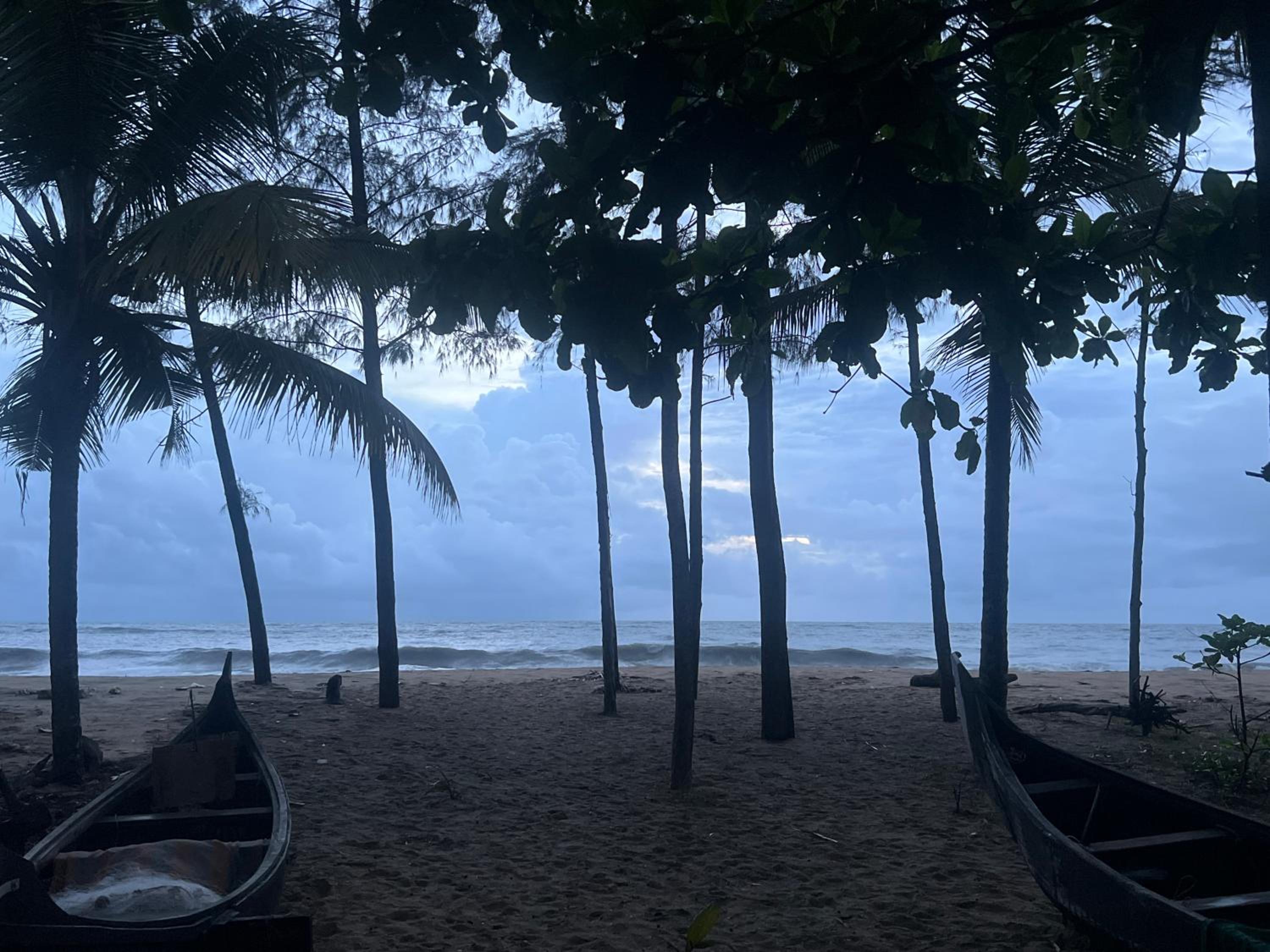 Cherai Beach Retreat view 4