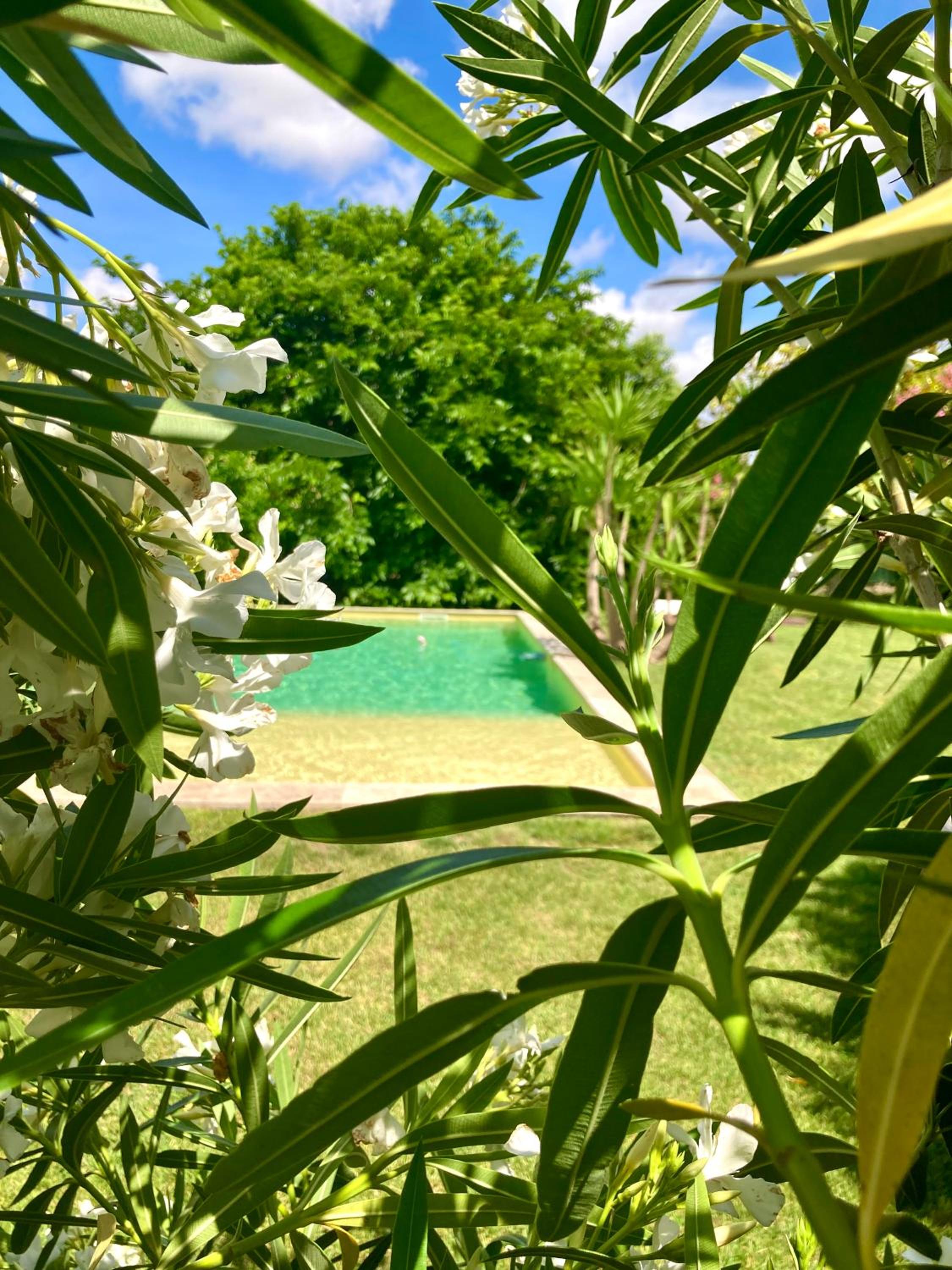 Le Patio, chambres d hôtes pour adultes en Camargue, possibilité de naturisme à la piscine,