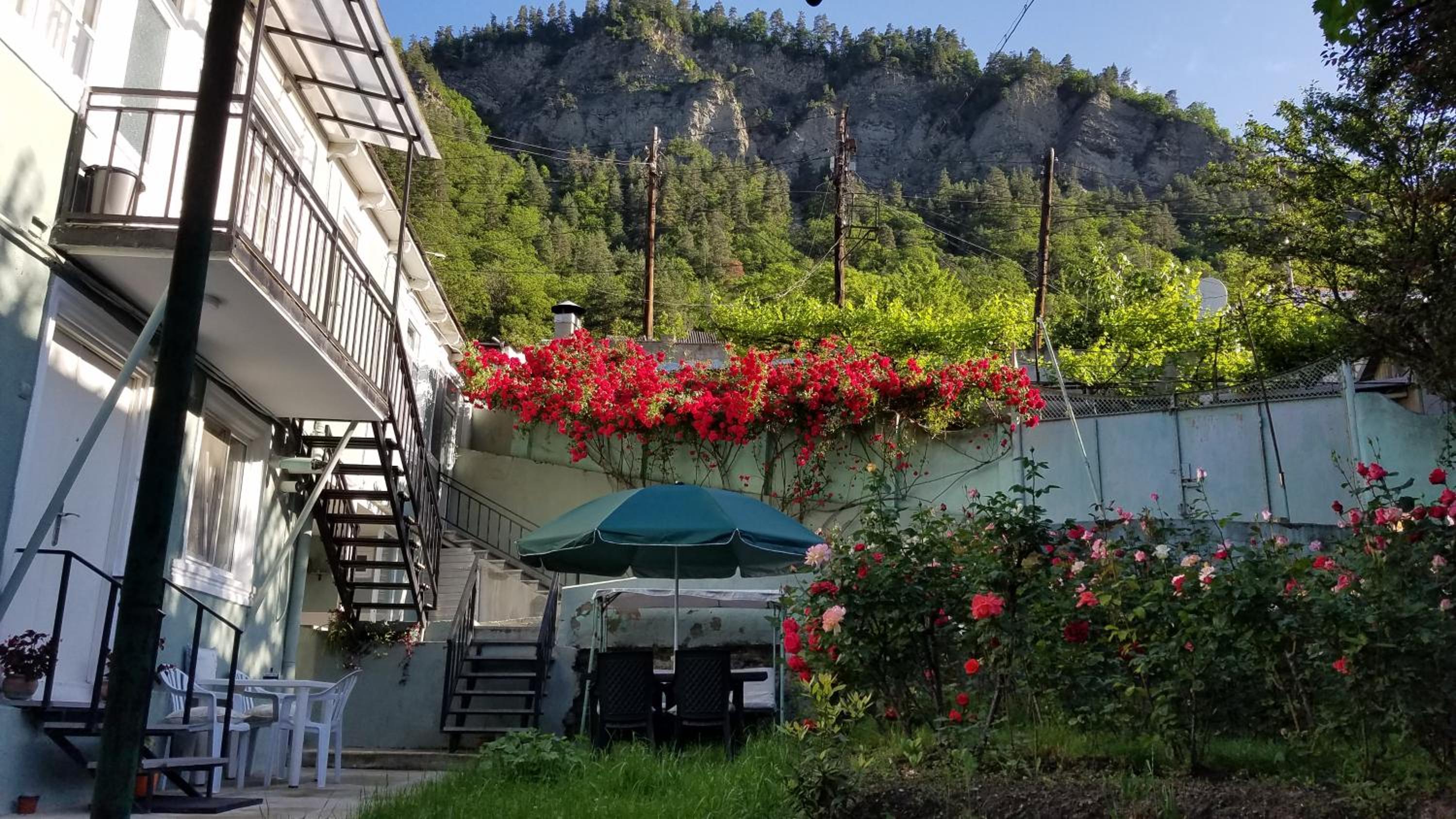 Guest House Green Rose view 3