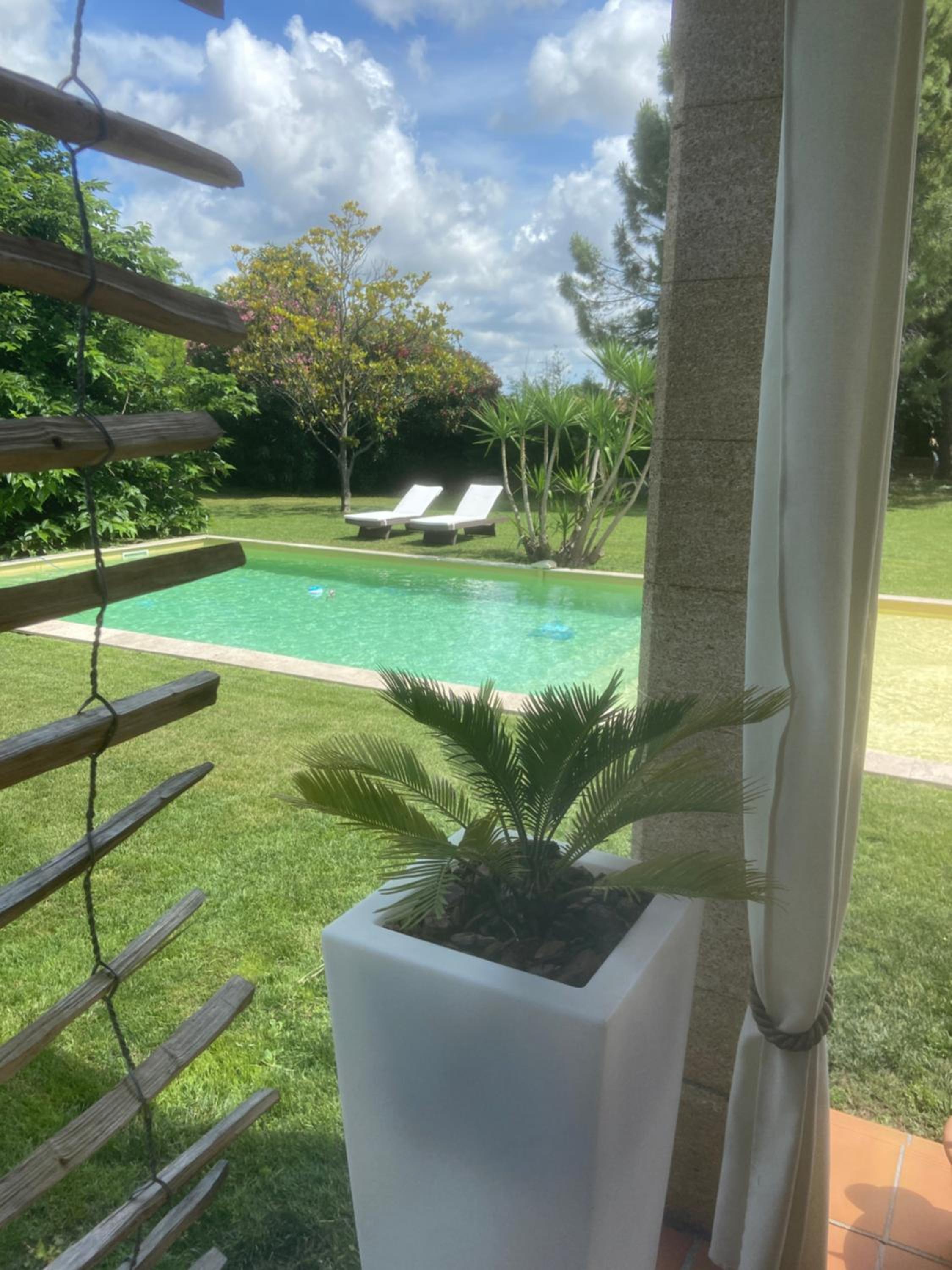 Le Patio, chambres d hôtes pour adultes en Camargue, possibilité de naturisme à la piscine,, photo 4