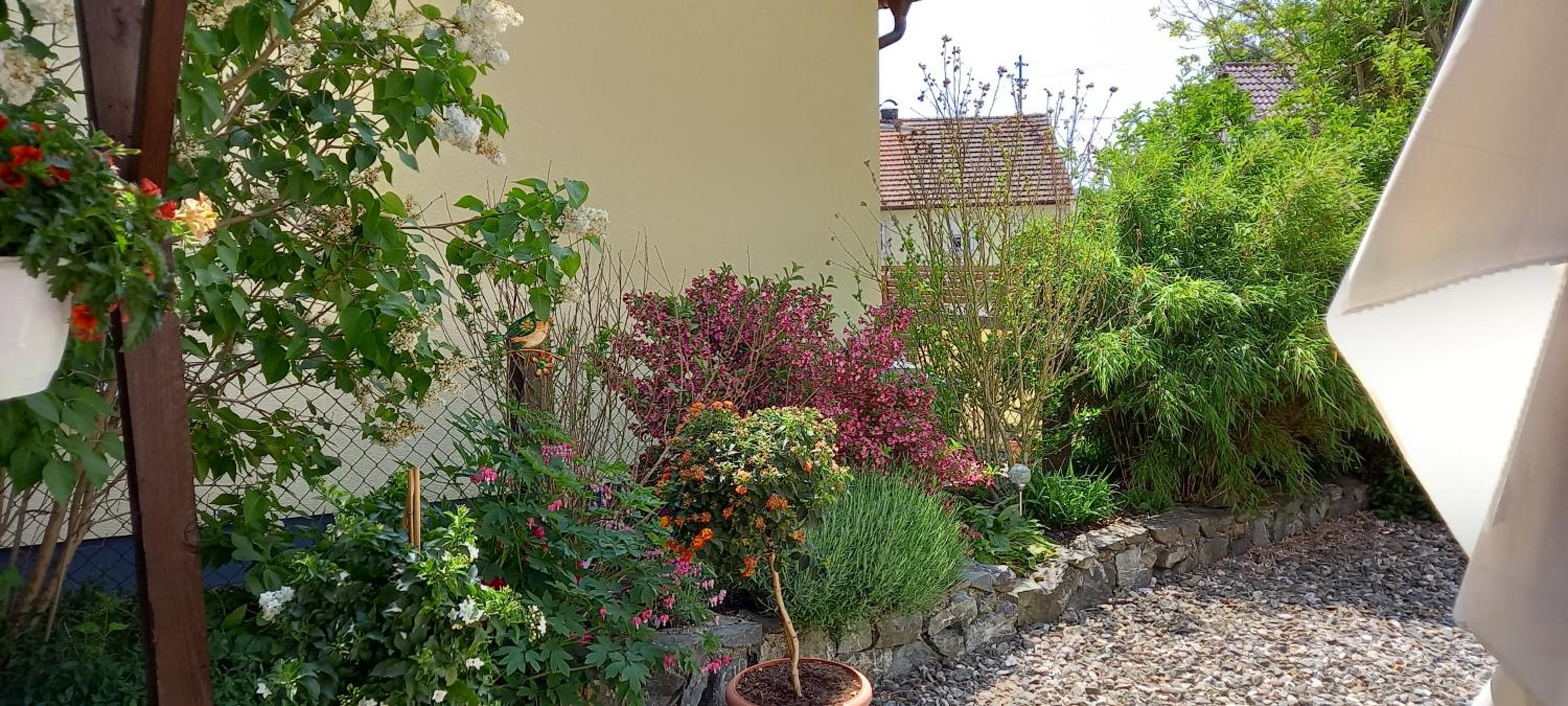 Haus Waldblick