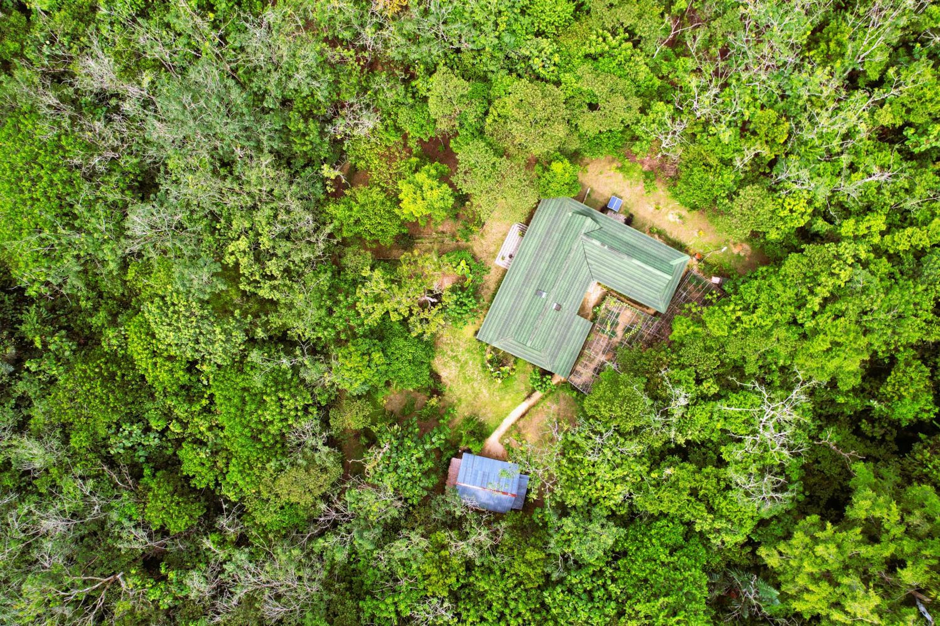 Hutan Subur Guest House and Volunteering view 3