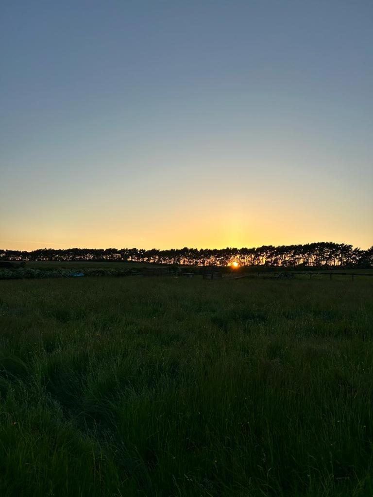 Cliff Stud Retreat - Luxury lodges and cosy cottages view 4